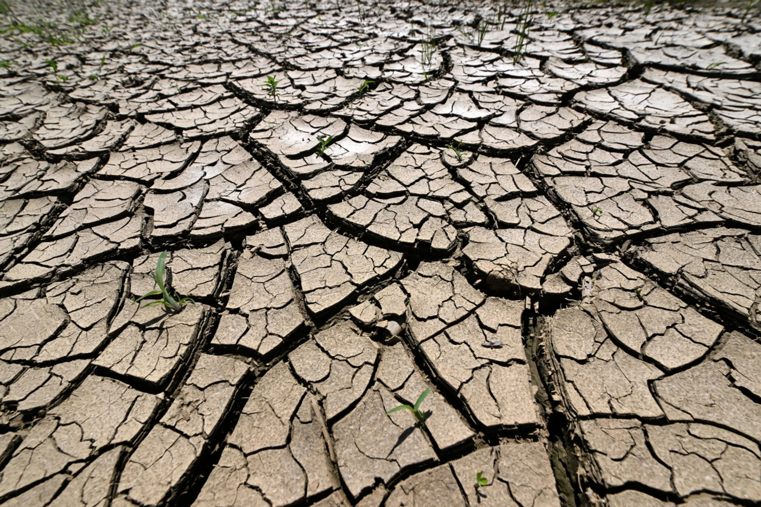 Entdeckung für die Landwirtschaft von Bedeutung