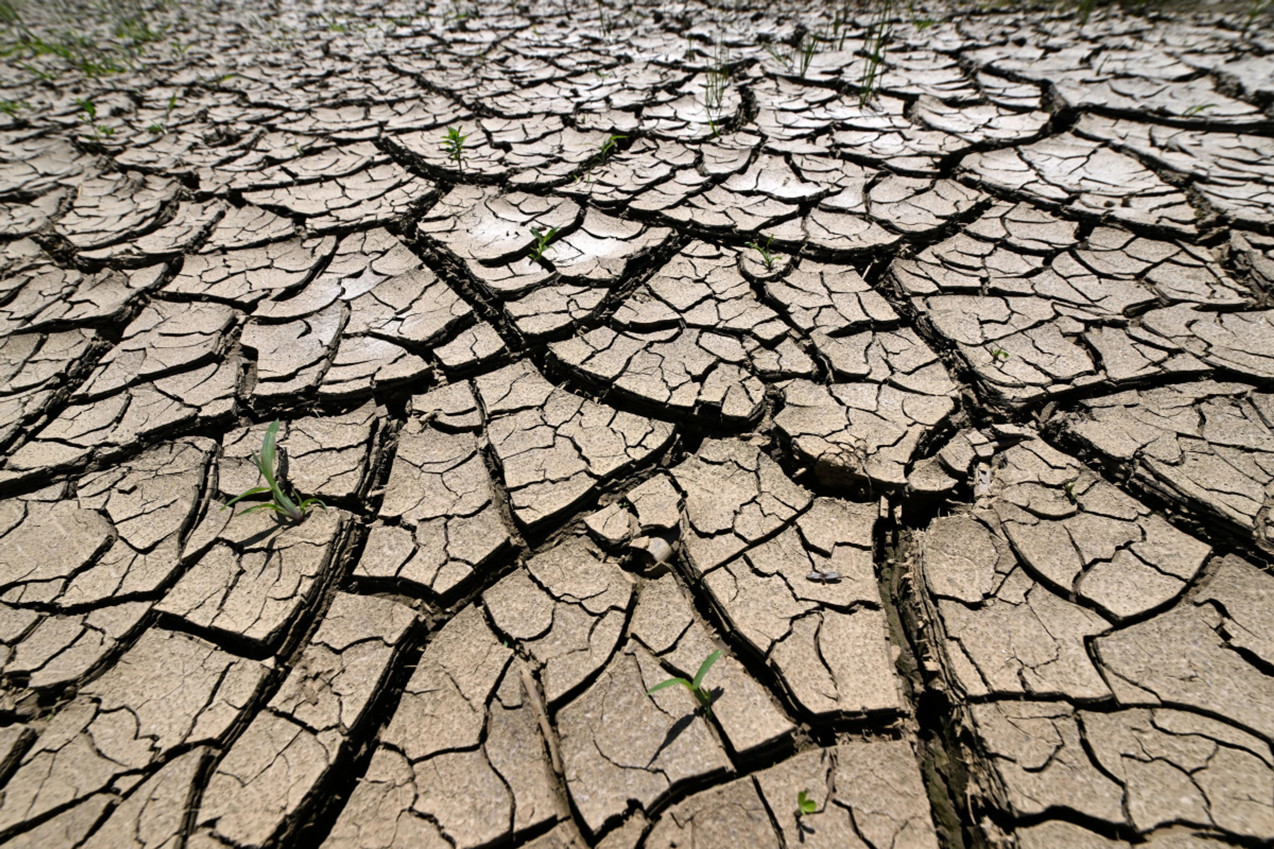 Entdeckung für die Landwirtschaft von Bedeutung
