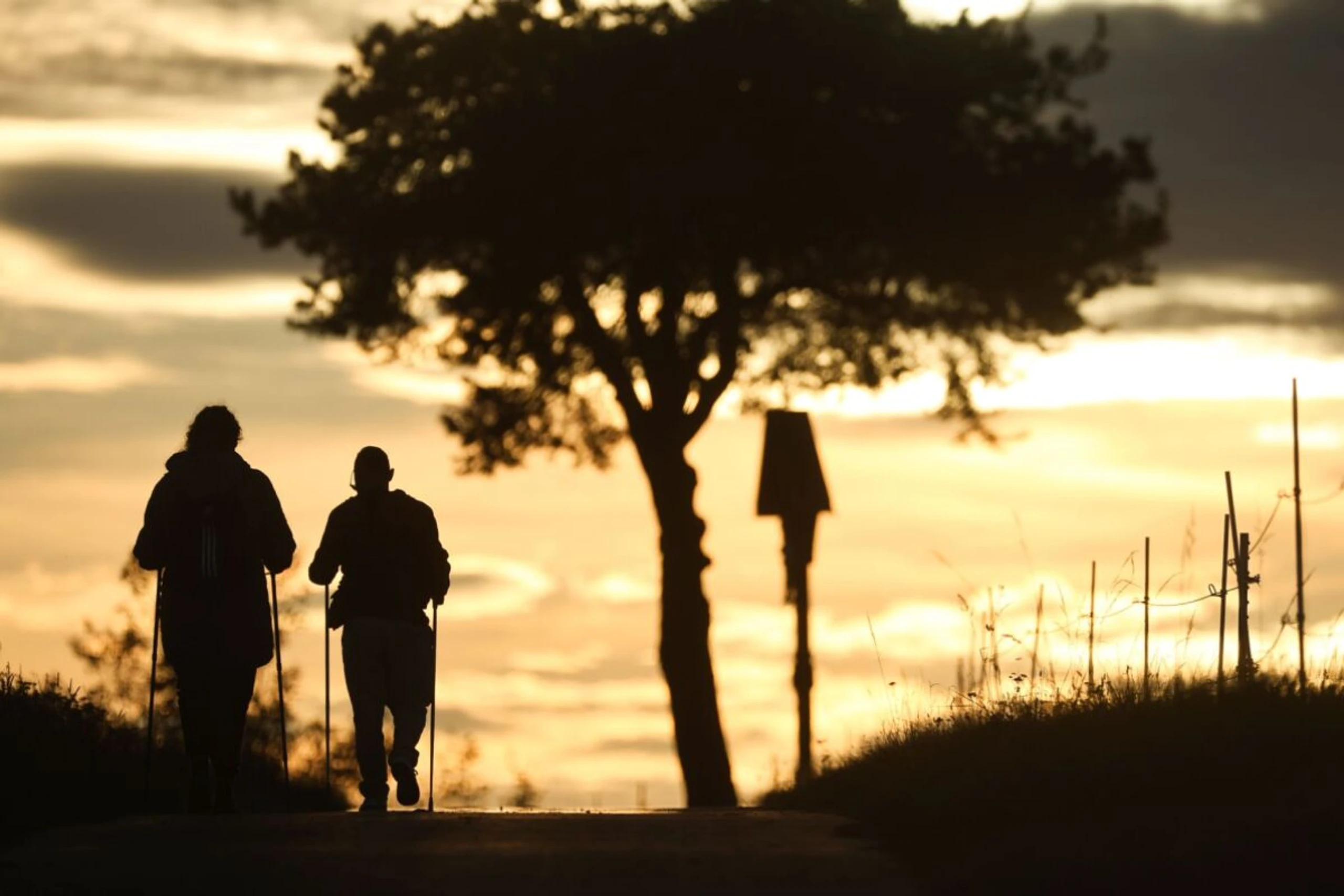 Nordic Walking ist eine ideale Art der Bewegung