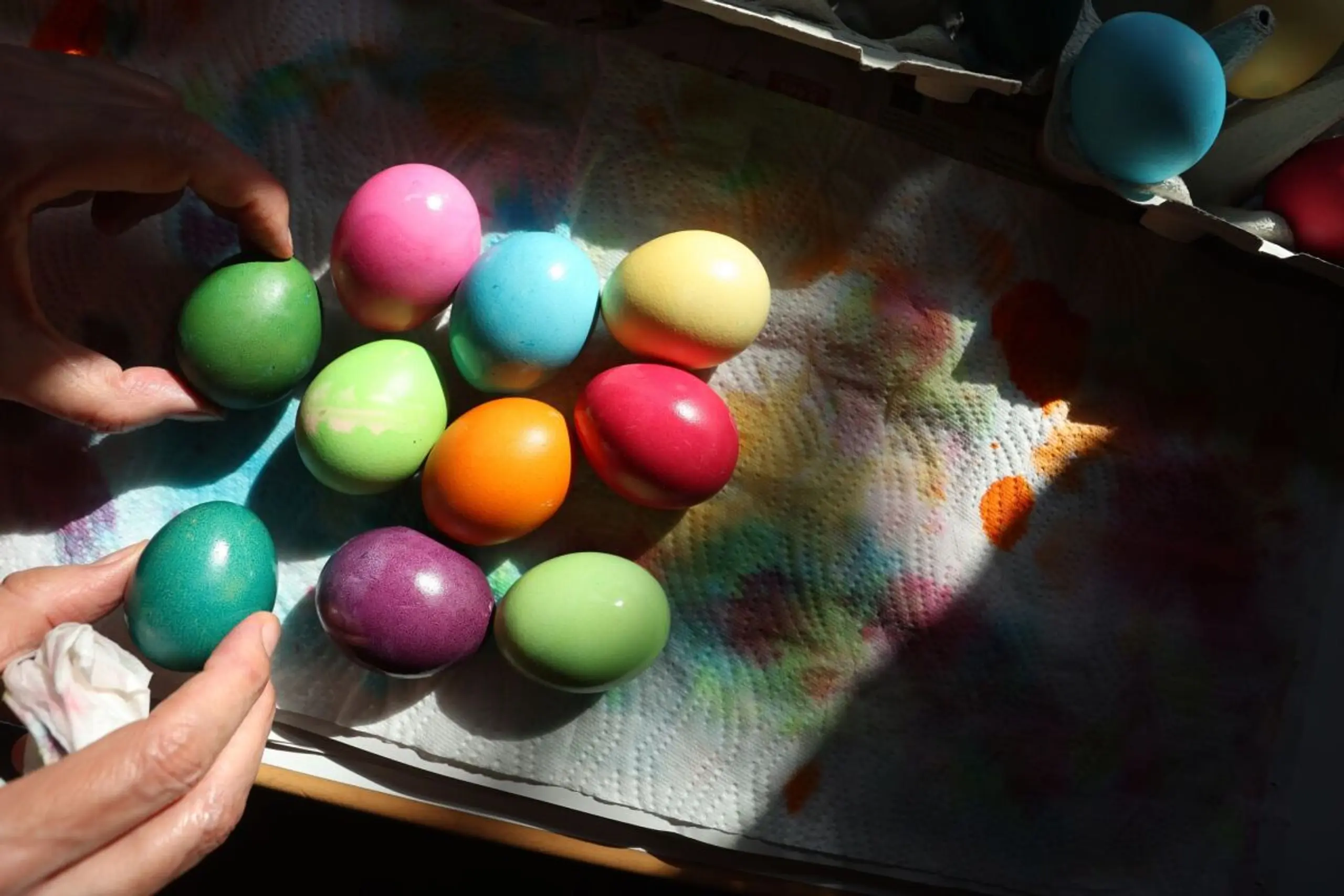 Hygiene ist essenziell, um Salmonellen-Infektionen zu vermeiden