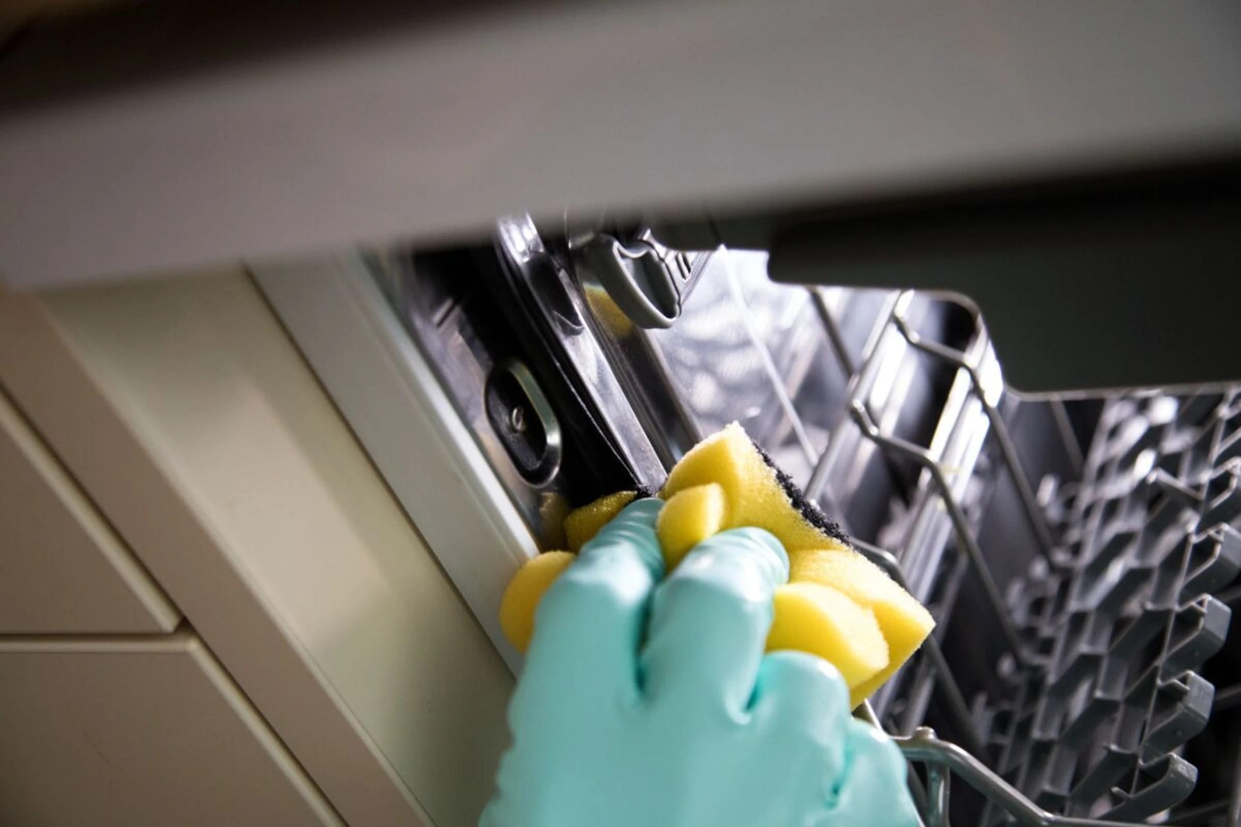 Die Gummidichtungen und das Sieb sollten regelmäßig gereinigt werden