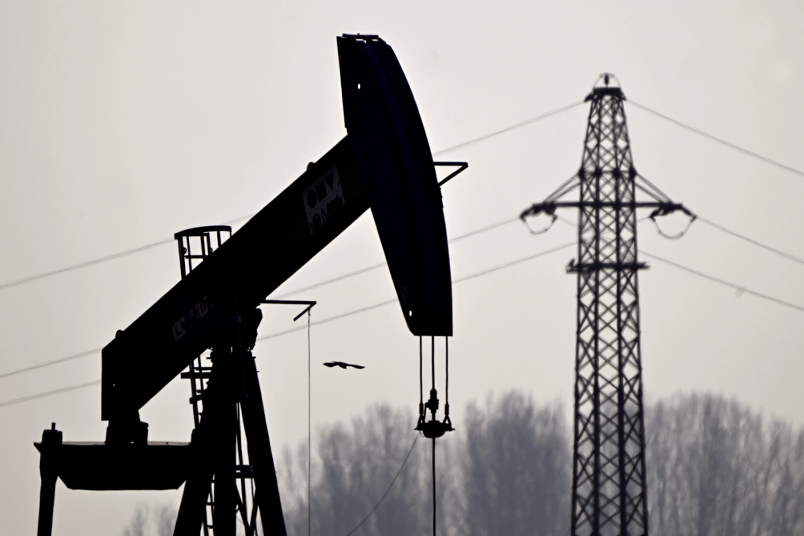 Weniger Wachstum, mehr Teuerung und mehr Pleiten durch Nahost-Krieg