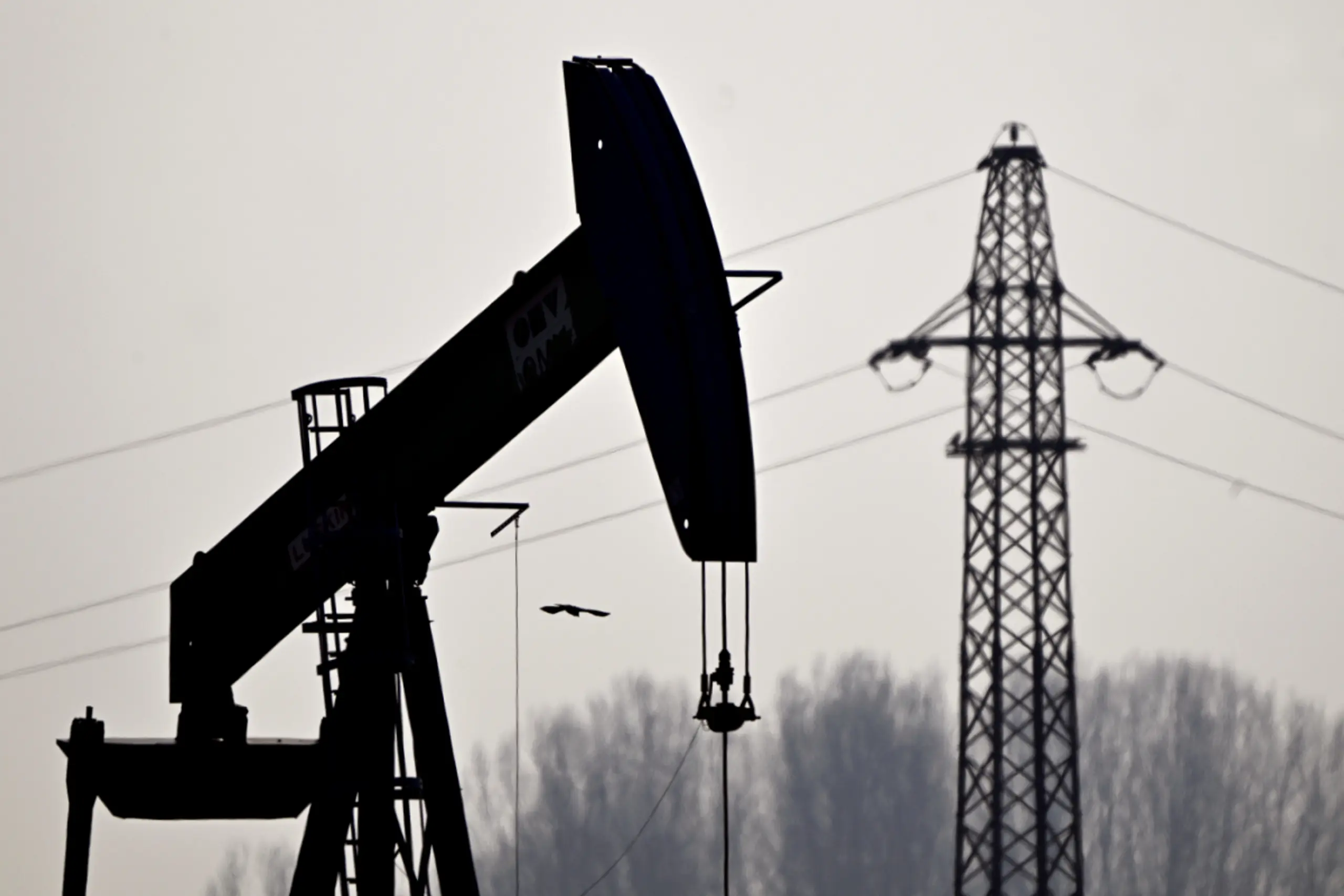 Weniger Wachstum, mehr Teuerung und mehr Pleiten durch Nahost-Krieg