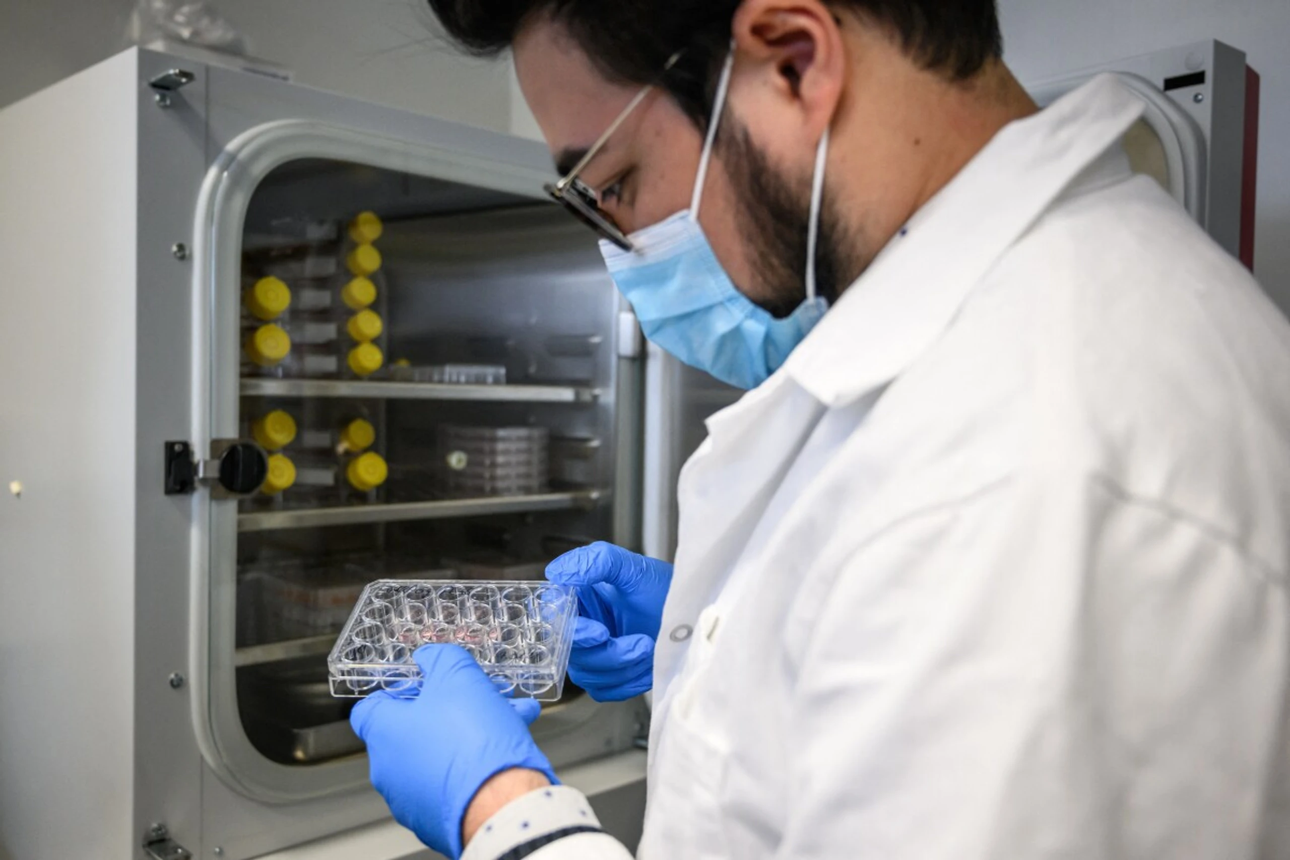 Die Erforschung von Mikroben in Tumoren ist anspruchsvoll