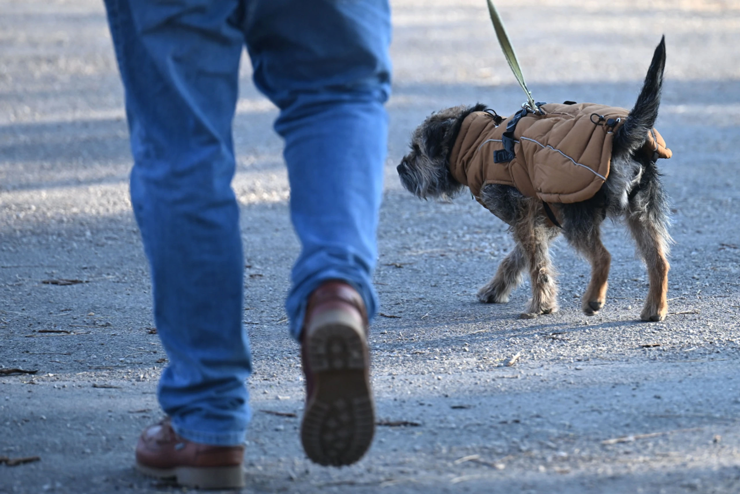 Verhalten wird oft falsch interpretiert