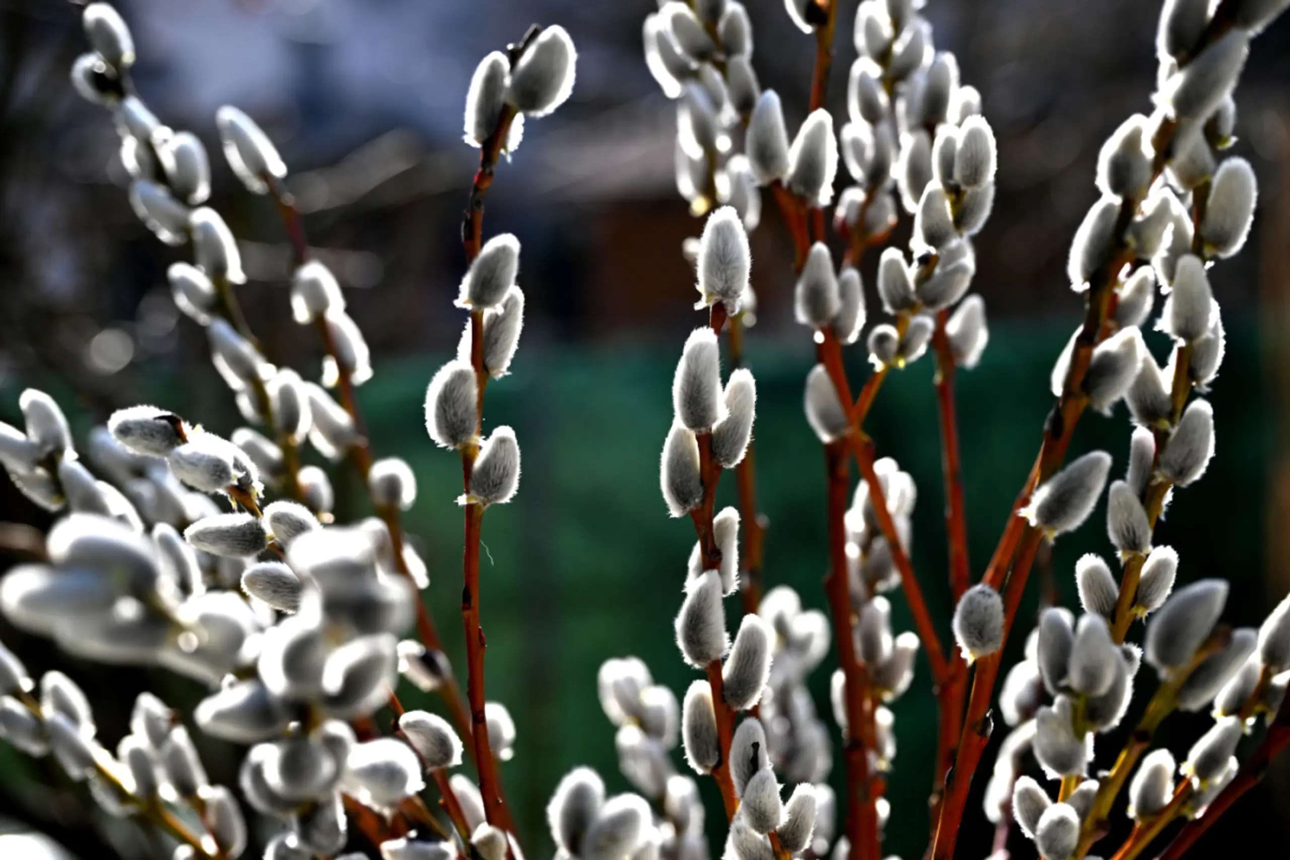 Bischöfe plädierten für Frieden