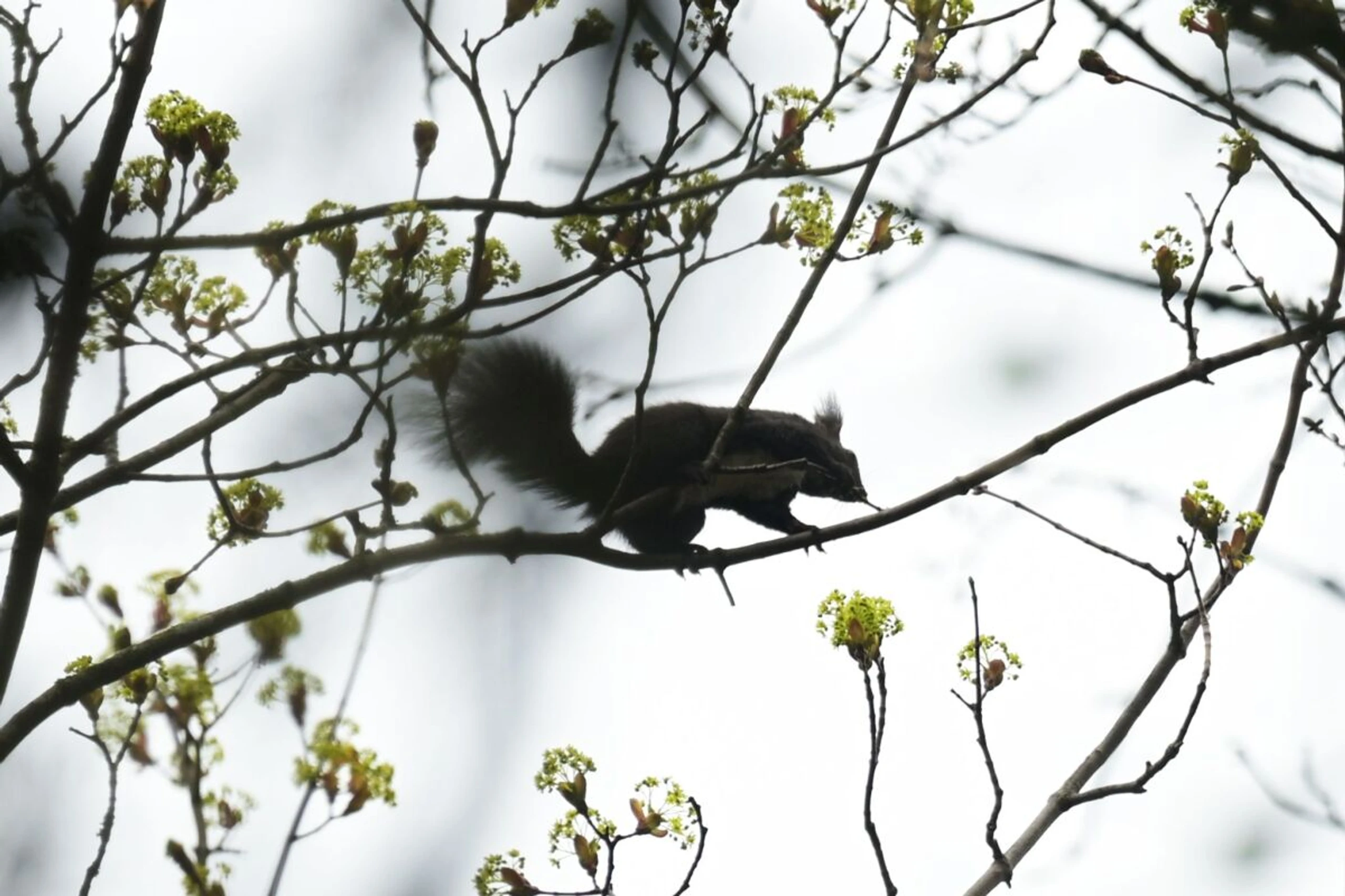 Kleine Gstettn mitten in Städten kühlen und erhöhen die Artenvielfalt