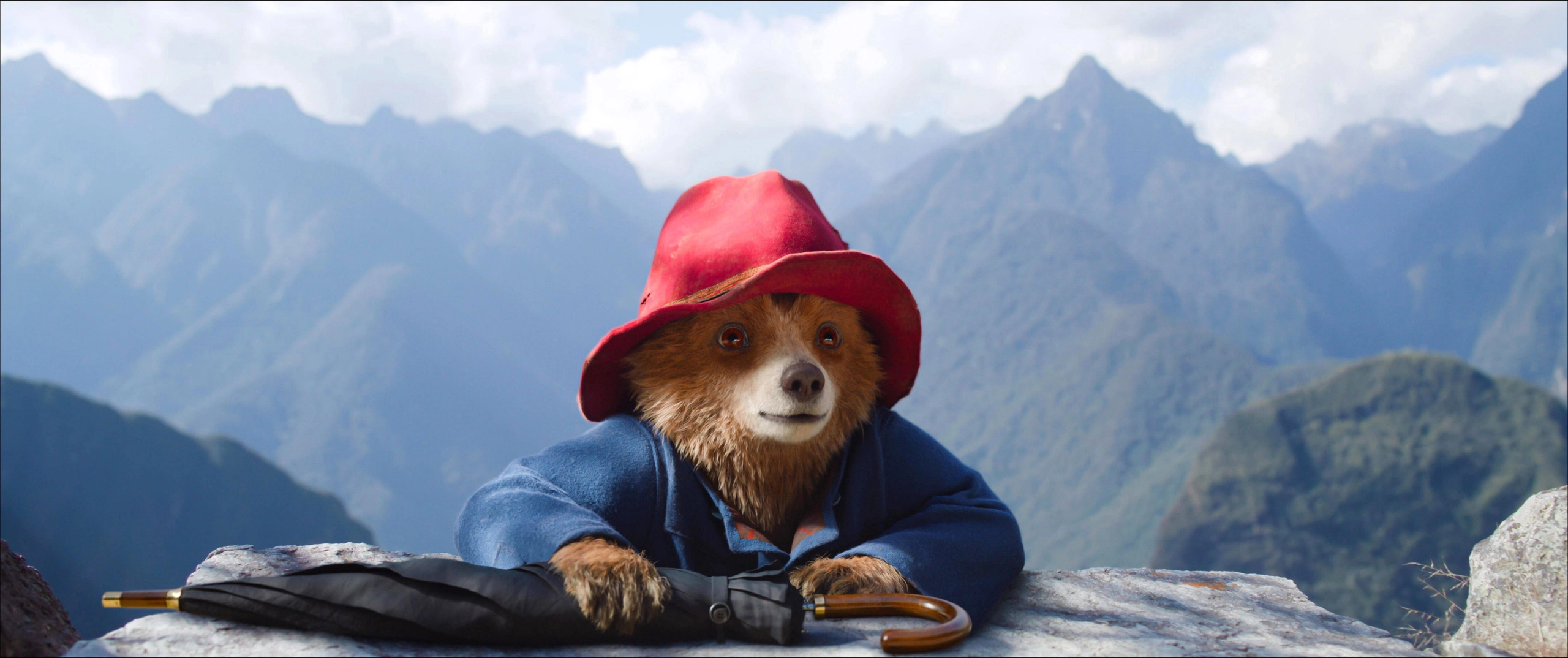 Paddington Bär: Der Flüchtling im Kinderzimmer