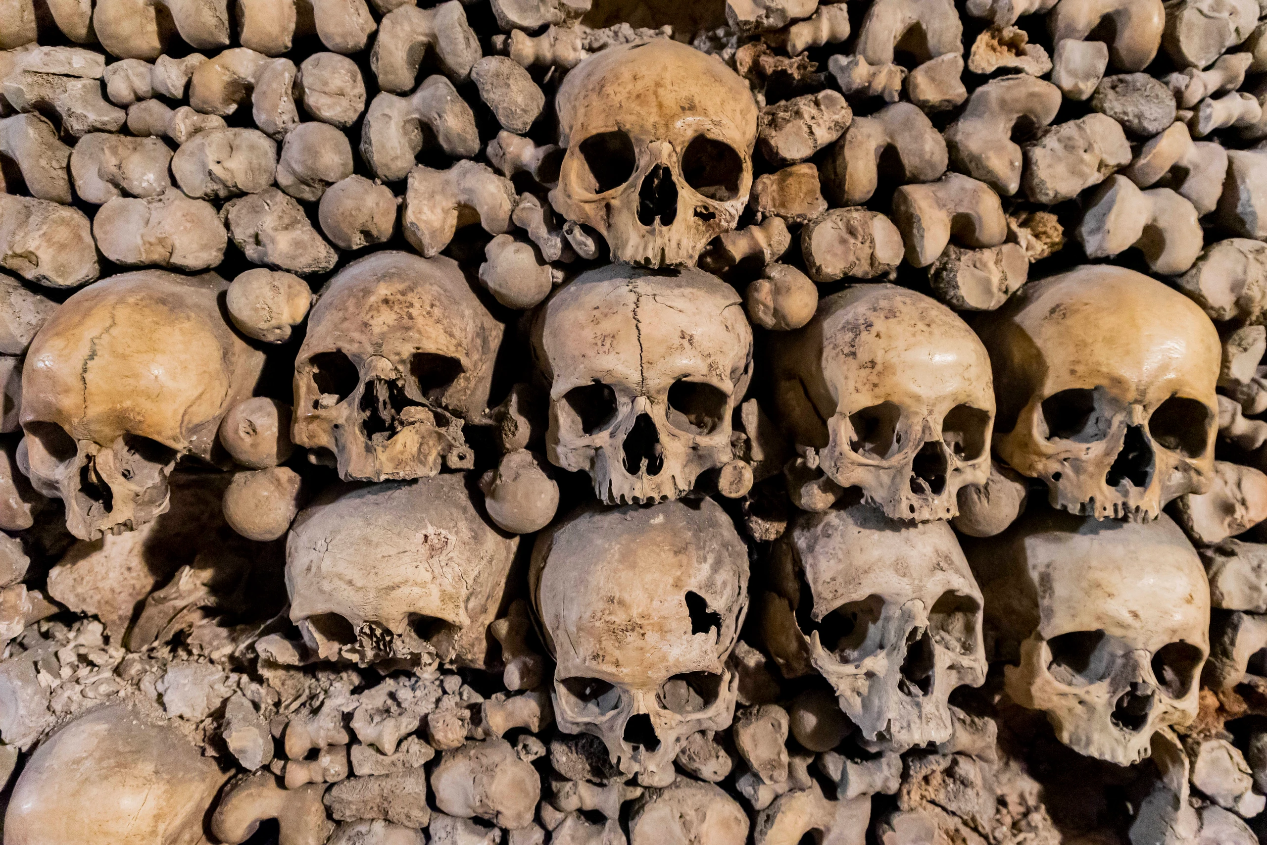 Paris: Größter unterirdischer Friedhof der Welt wieder offen