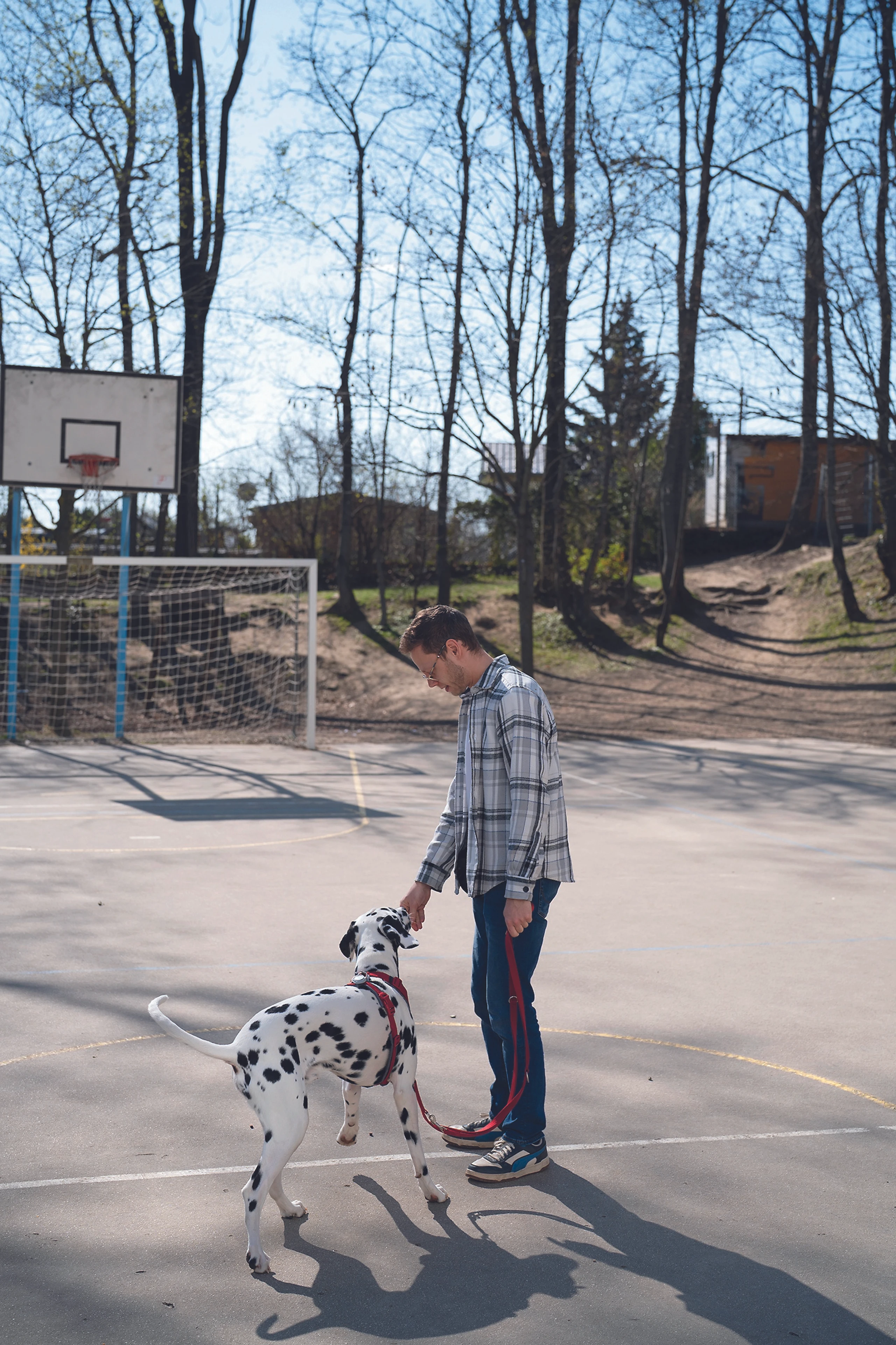 Blurred image background