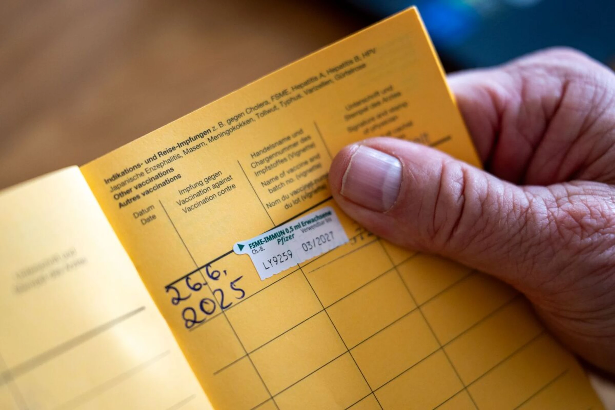 Für den vollständigen FSME-Impfschutz sind drei Impfungen gefragt