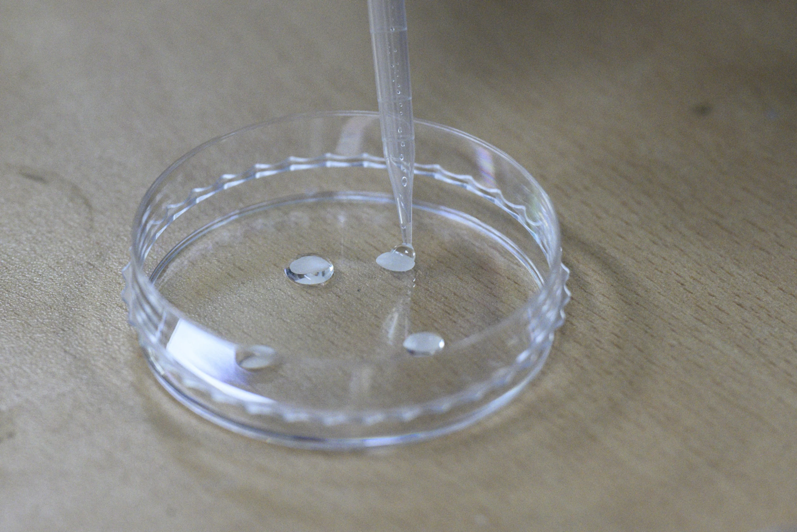 Britische Wissenschafter entwickelten neues Verfahren (Symbolbild)