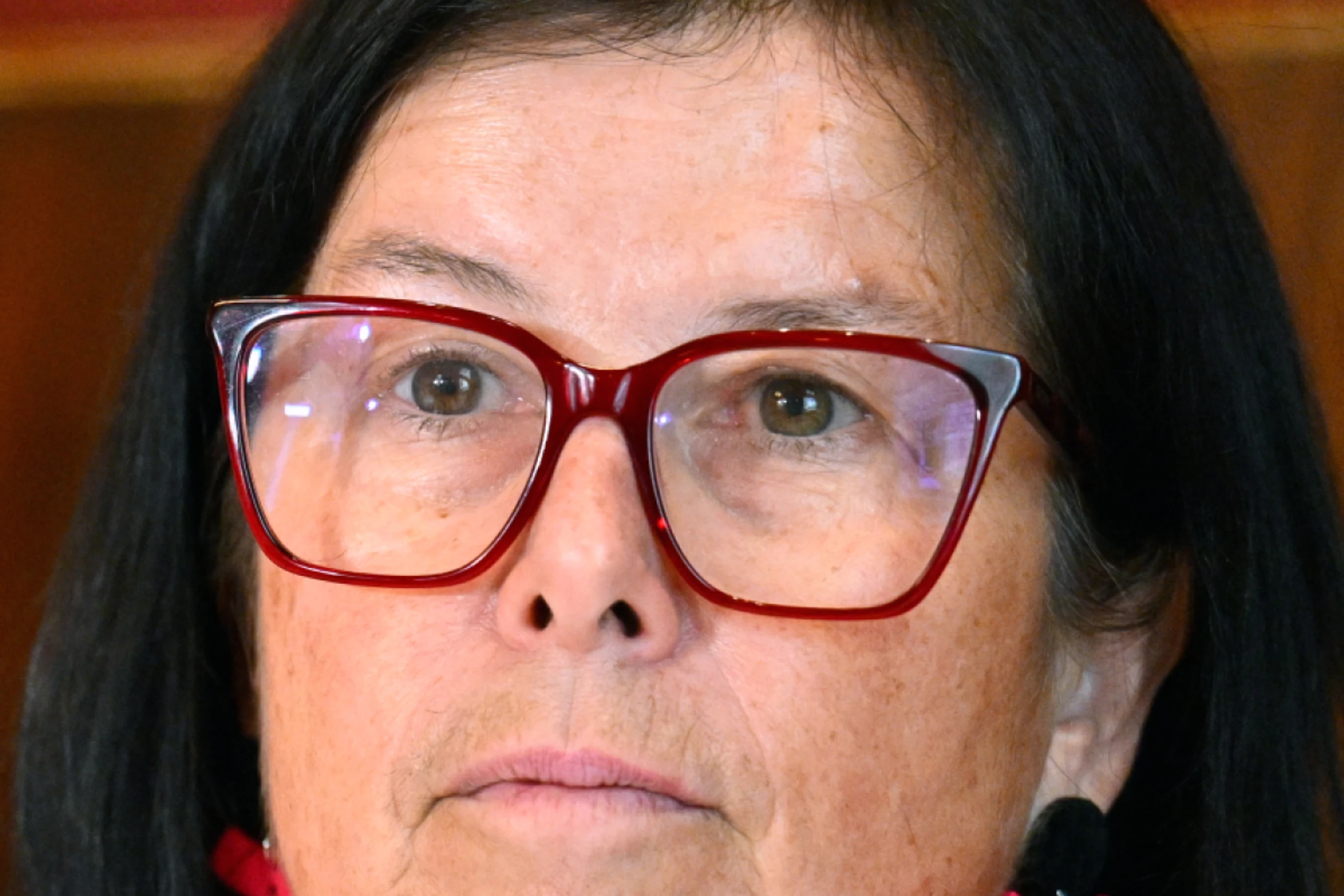 PVÖ-Präsidentin Gerstorfer will zur Pensionssicherung Vermögenssteuern