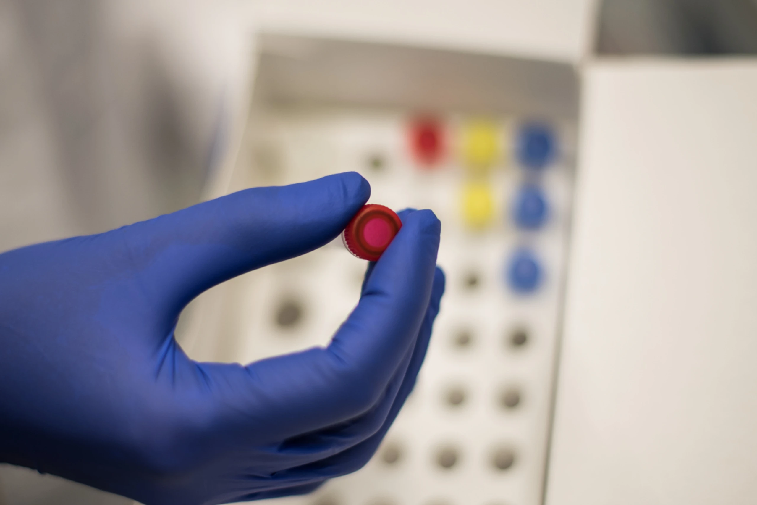 Bedrohung durch Antimykotika-Resistenzen wächst