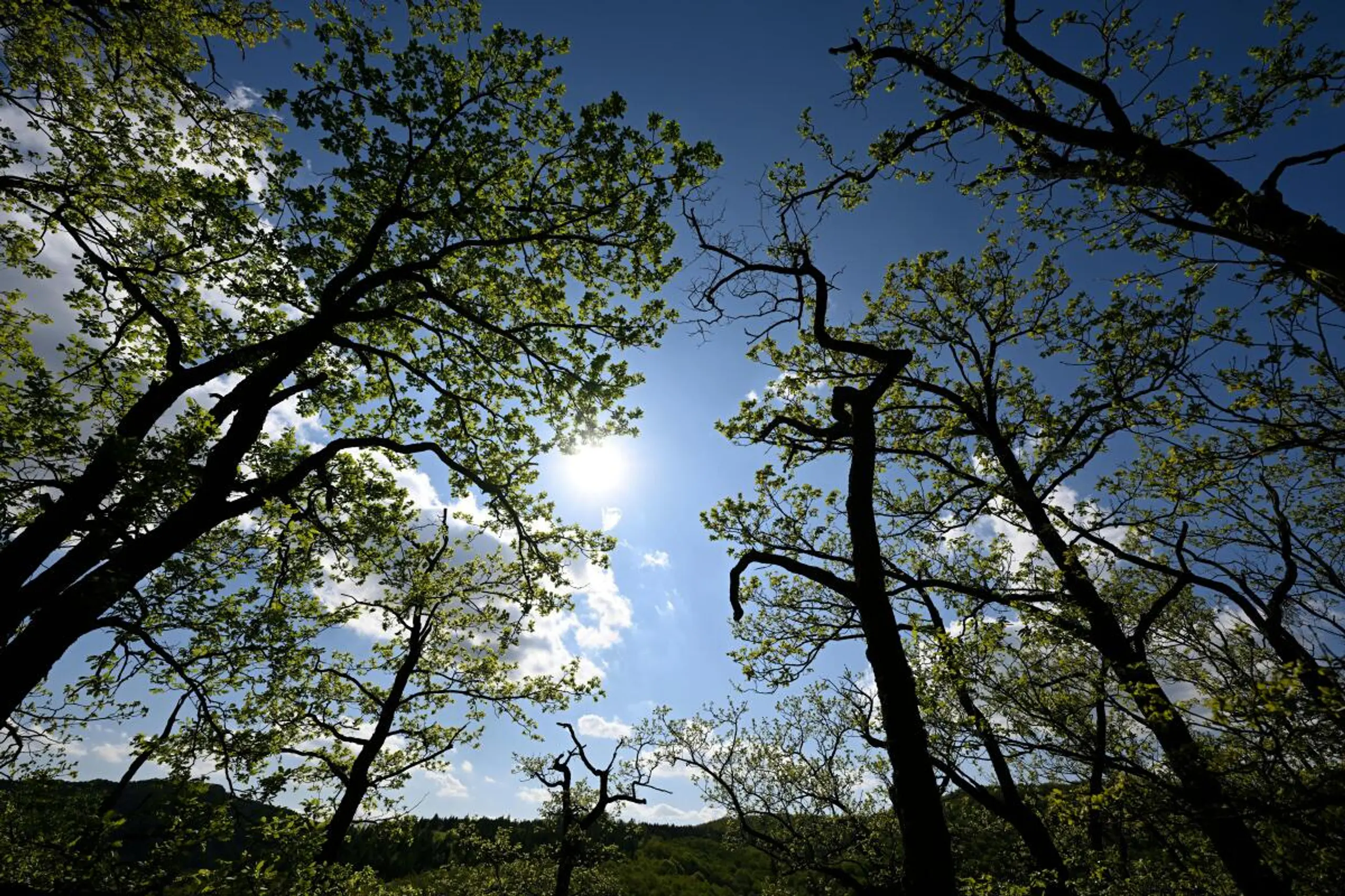 Klimawandel und Artenverlust gefährden die Lebensgrundlagen der Menschen