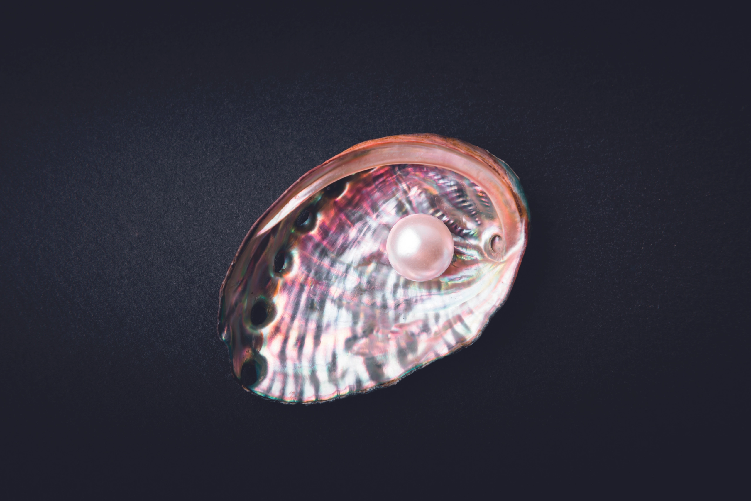 Perlmuttknöpfe bis Luxusyachten: Eine Erfolgsgeschichte aus Niederösterreich