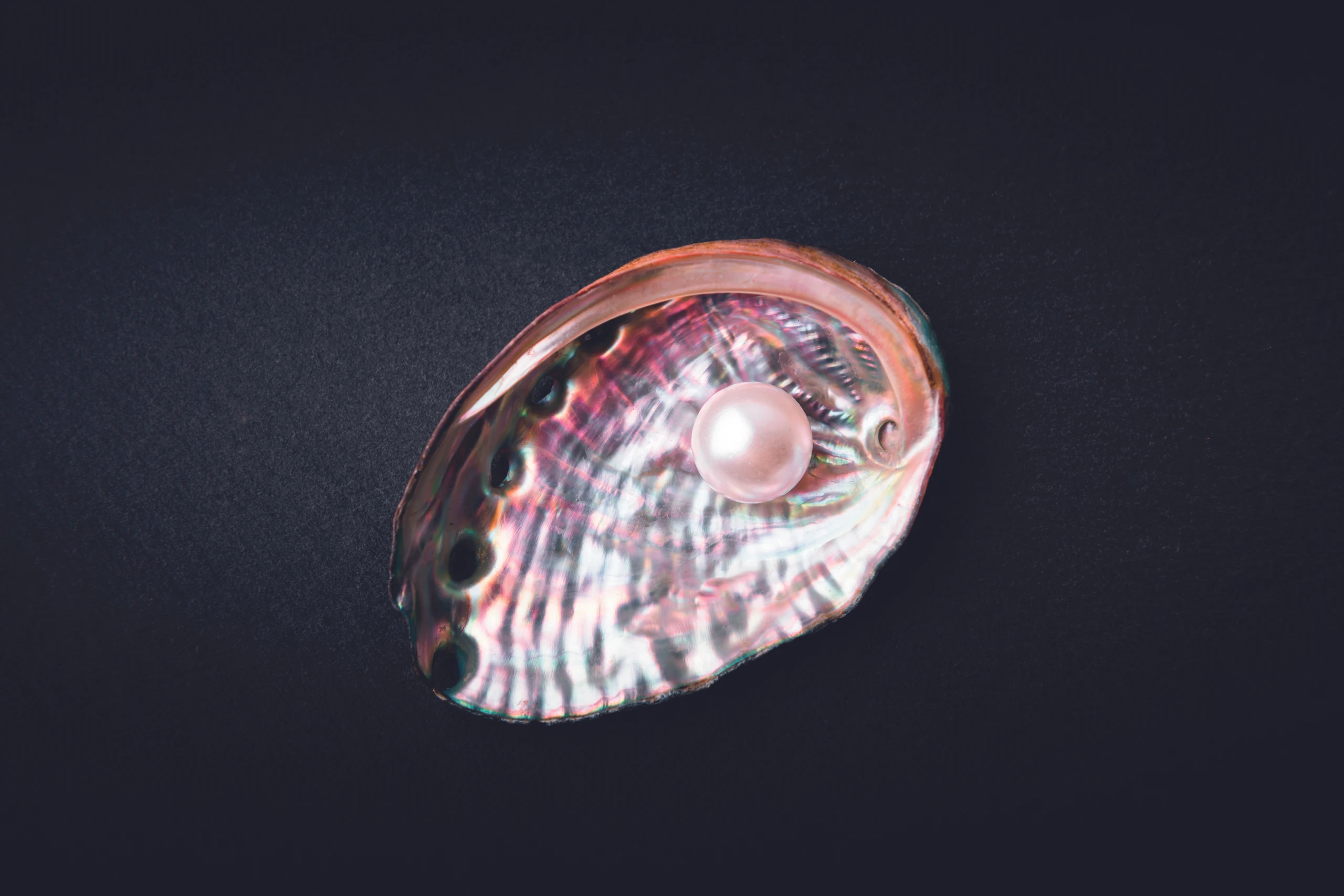 Perlmuttknöpfe bis Luxusyachten: Eine Erfolgsgeschichte aus Niederösterreich