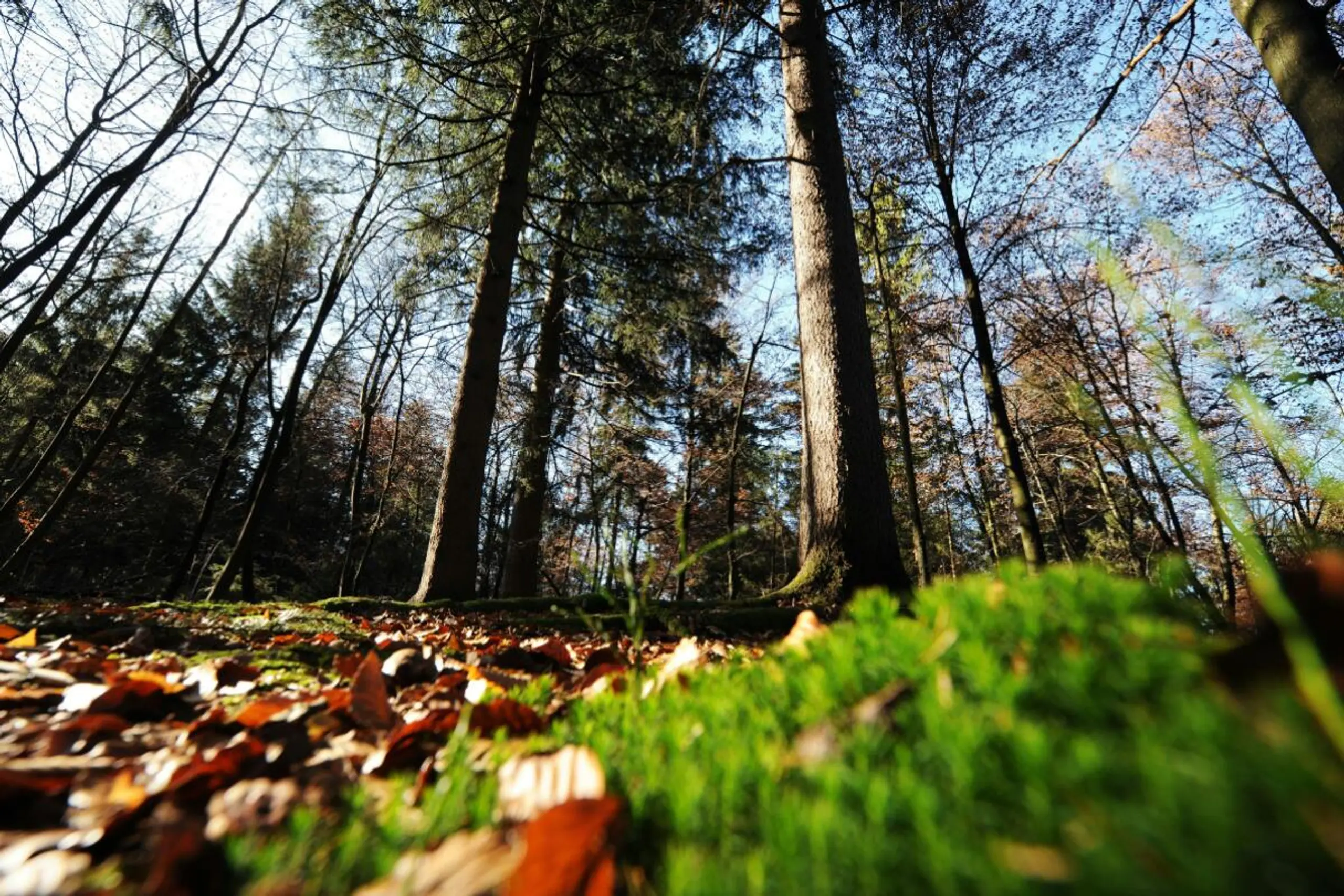 Boden ist ein wichtiger Kohlenstoffspeicher