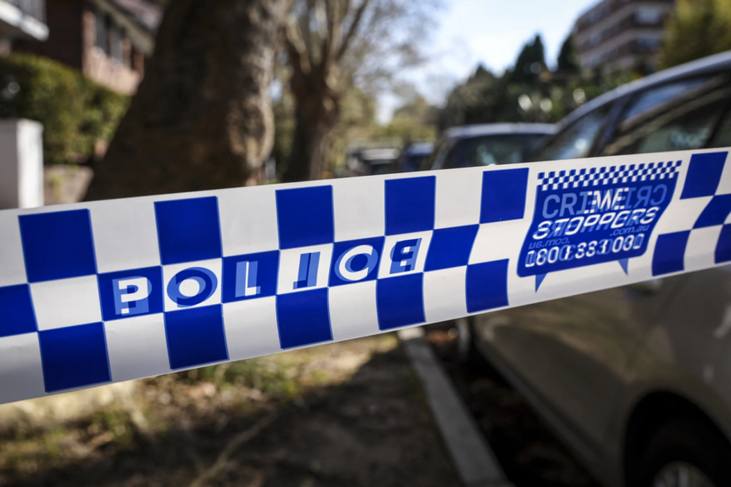 Polizei nahm Lenker fest