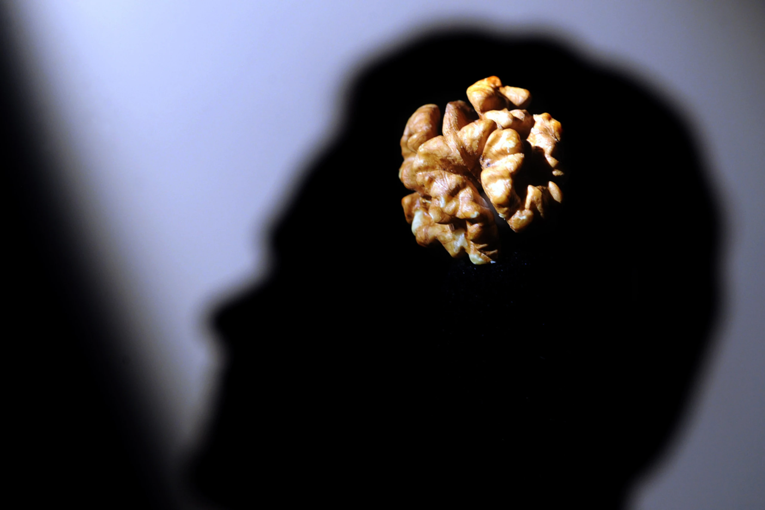 Das Gehirn verbraucht ein Viertel des Kalorienbedarfs