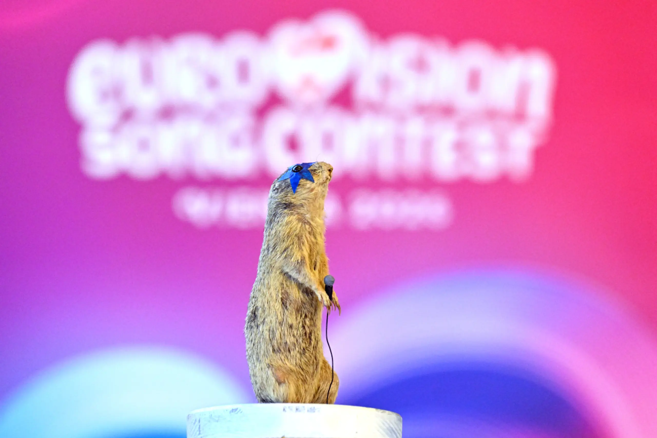 Der Cosmó-besternte Ziesel soll ESC-Fans ins NHM locken