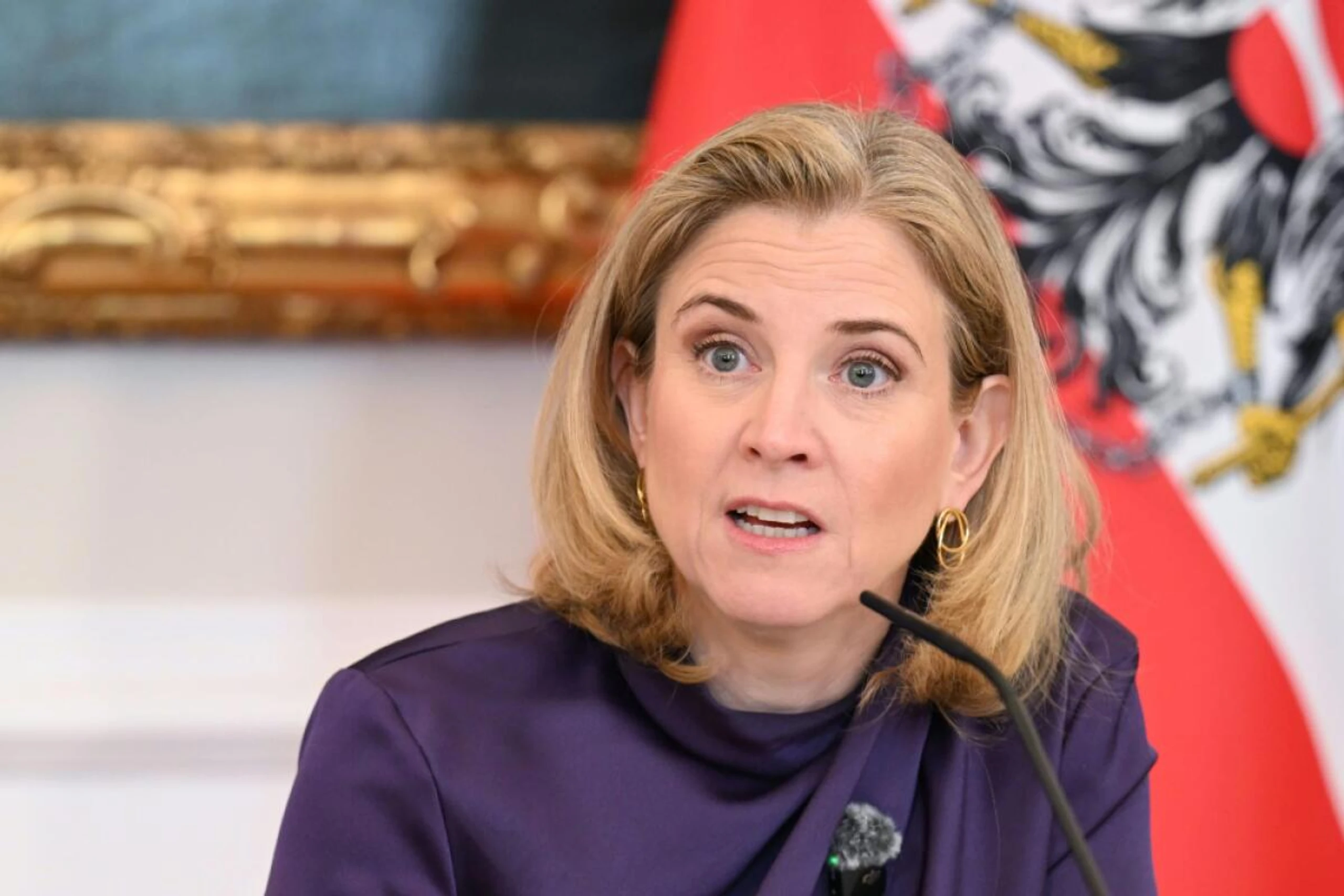 Verein leistet laut Meinl-Reisinger gute Arbeit