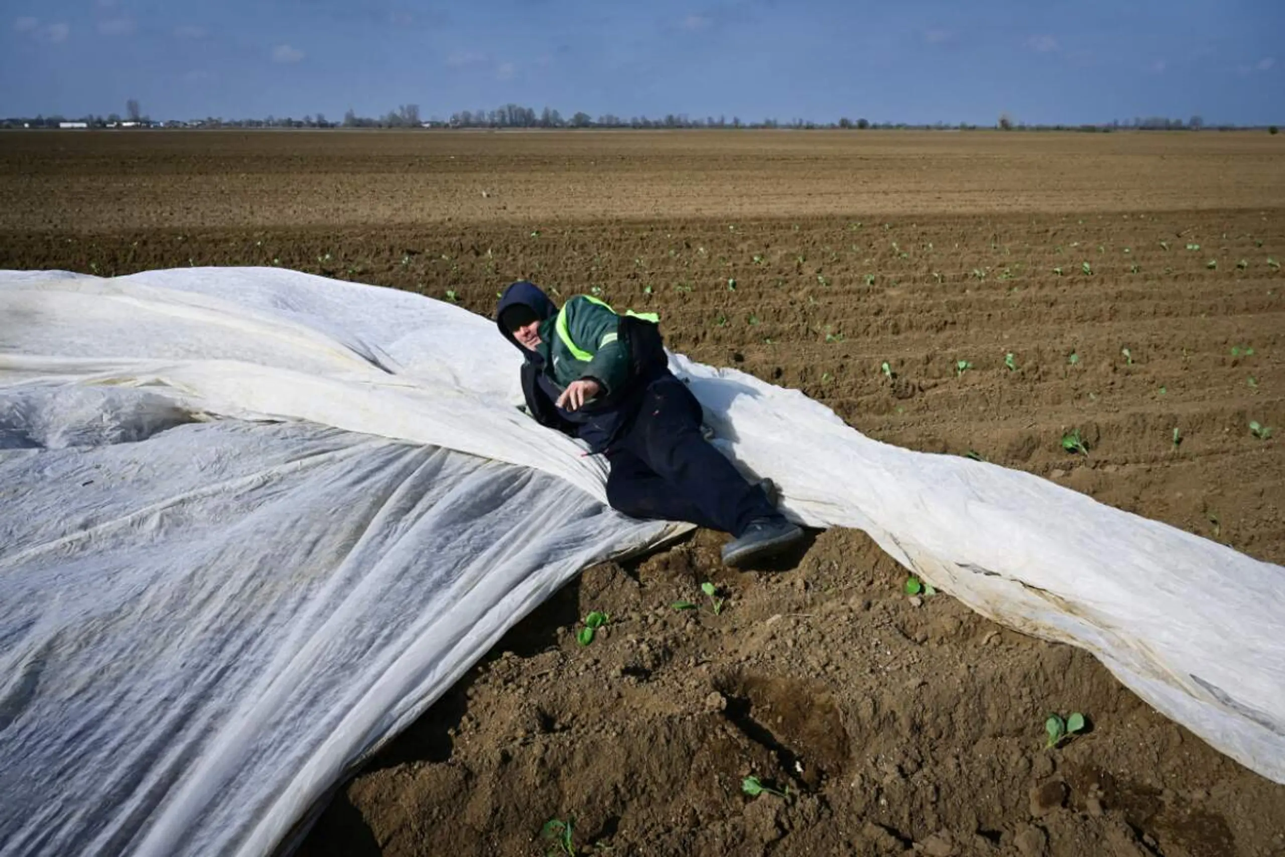 Bauern weltweit werden um Erträge umfallen