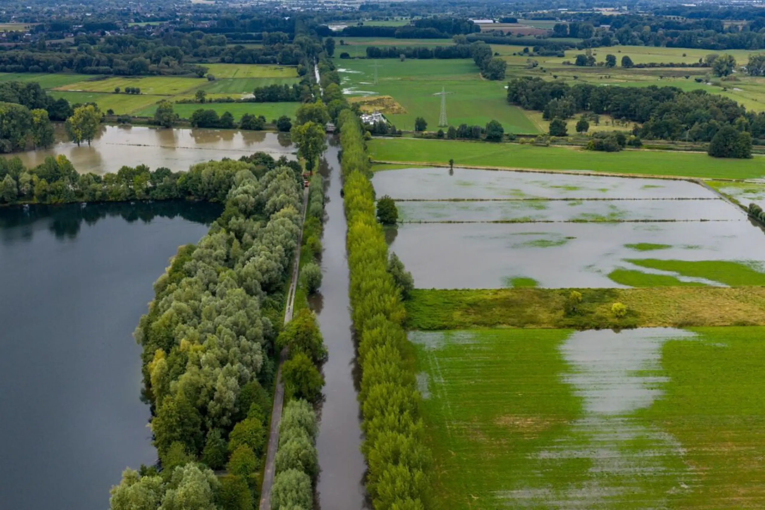 ++ ARCHIVBILD ++ Überschwemmungen können Tierpopulationen dezimieren