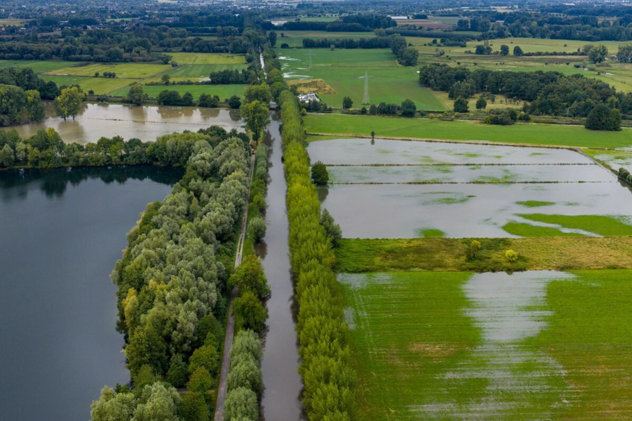 ++ ARCHIVBILD ++ Überschwemmungen können Tierpopulationen dezimieren