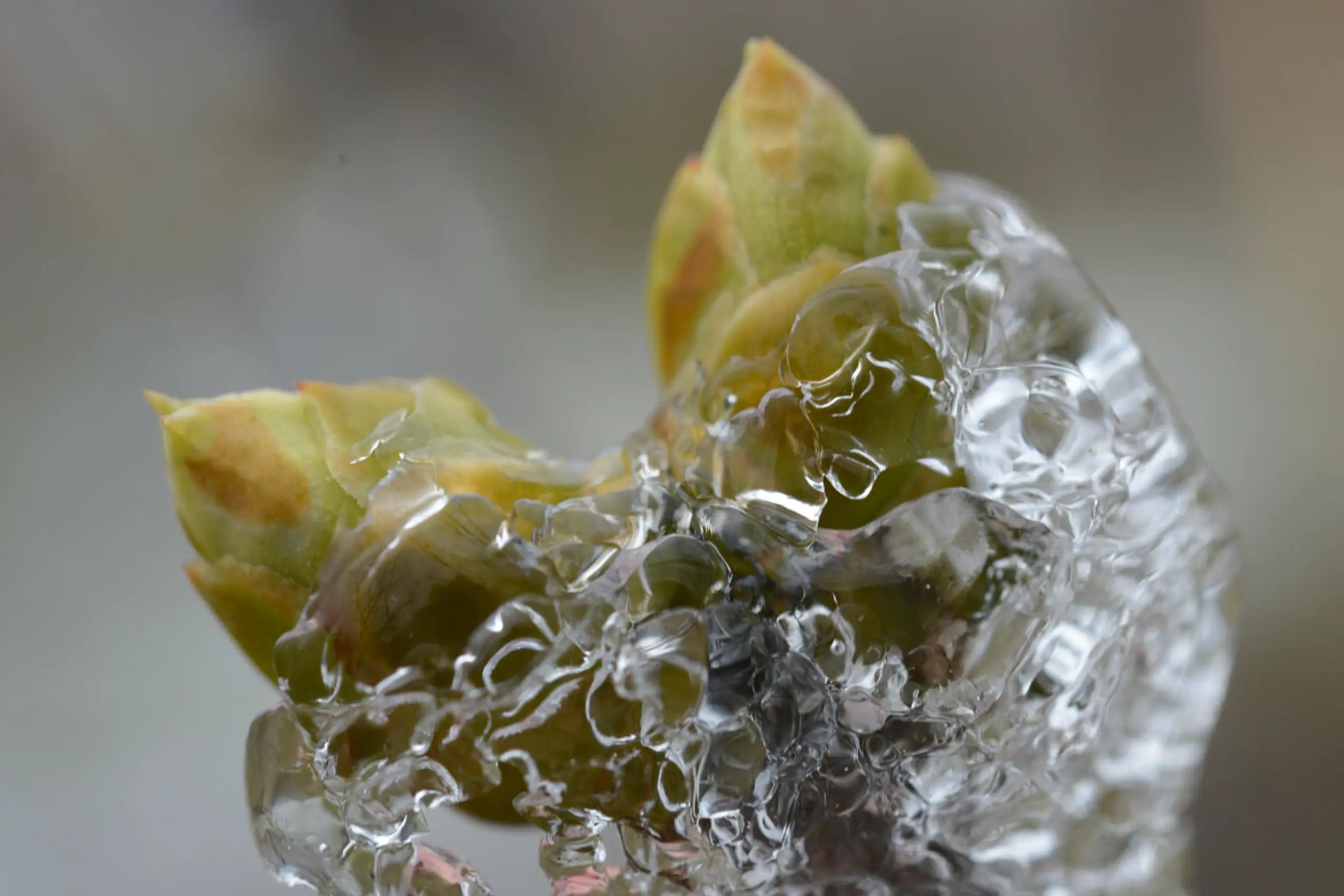 Studie befasst sich mit Warm- und Eiszeiten