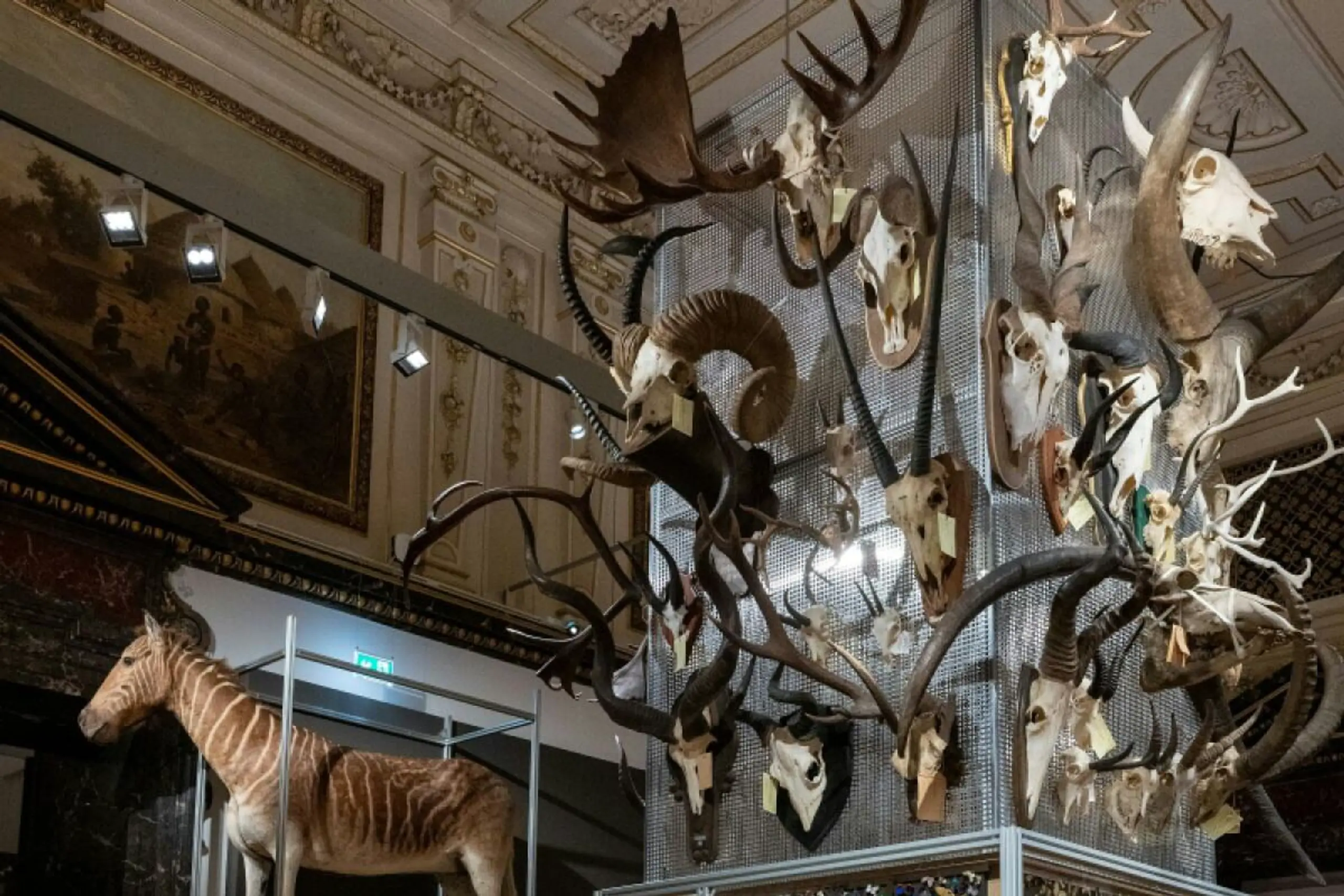 Die Jubiläumsschau des NHM will mit bekannten Sehgewohnheiten brechen