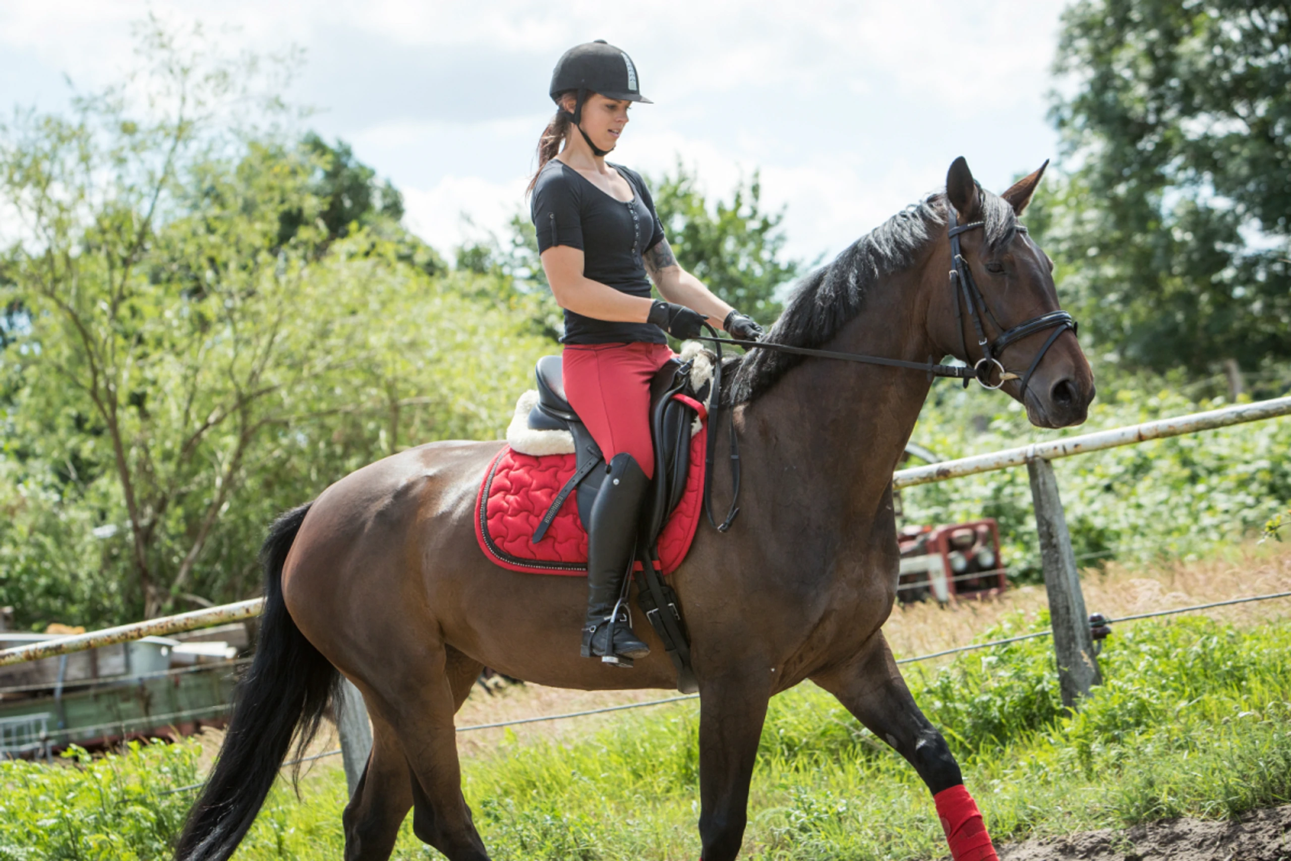 Reiten trainiert den Rücken auf vielfältige Weise