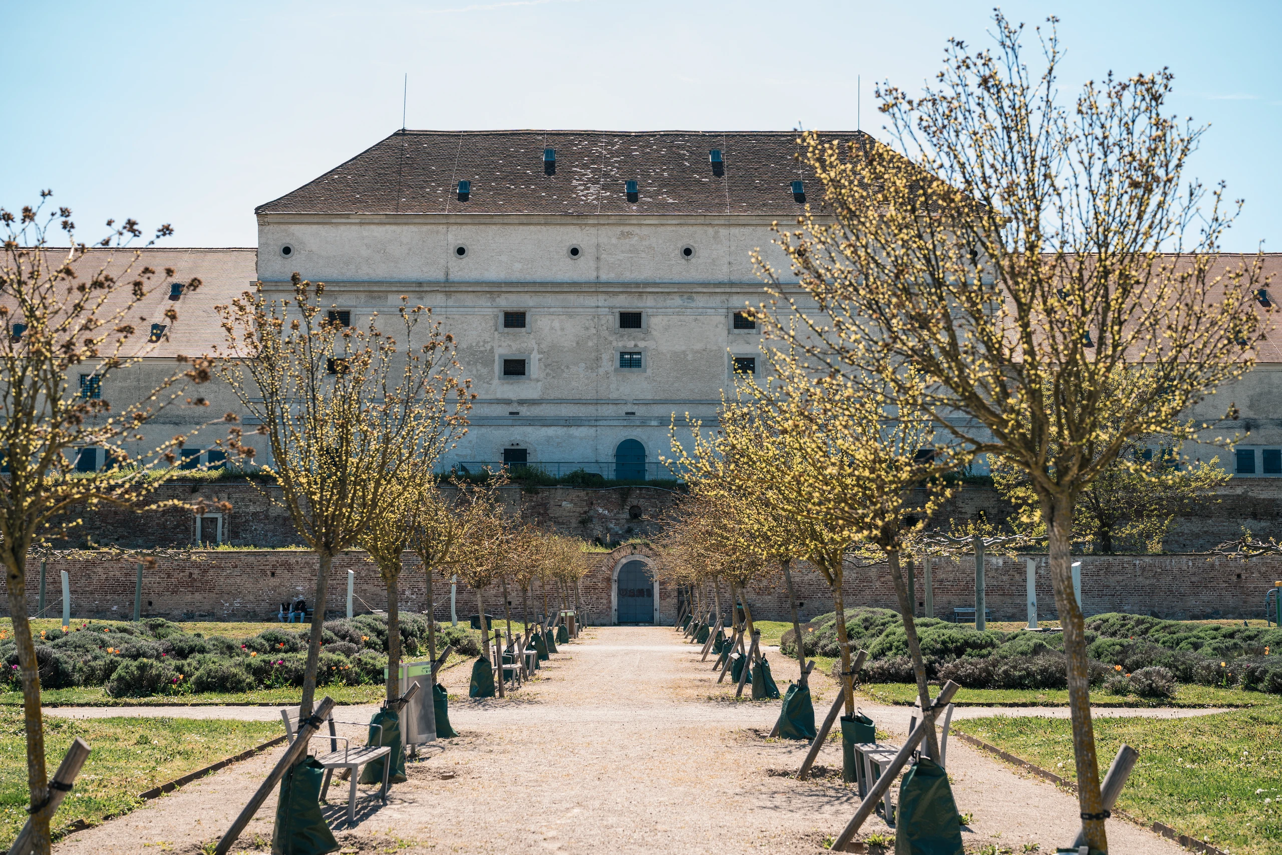 Blurred image background