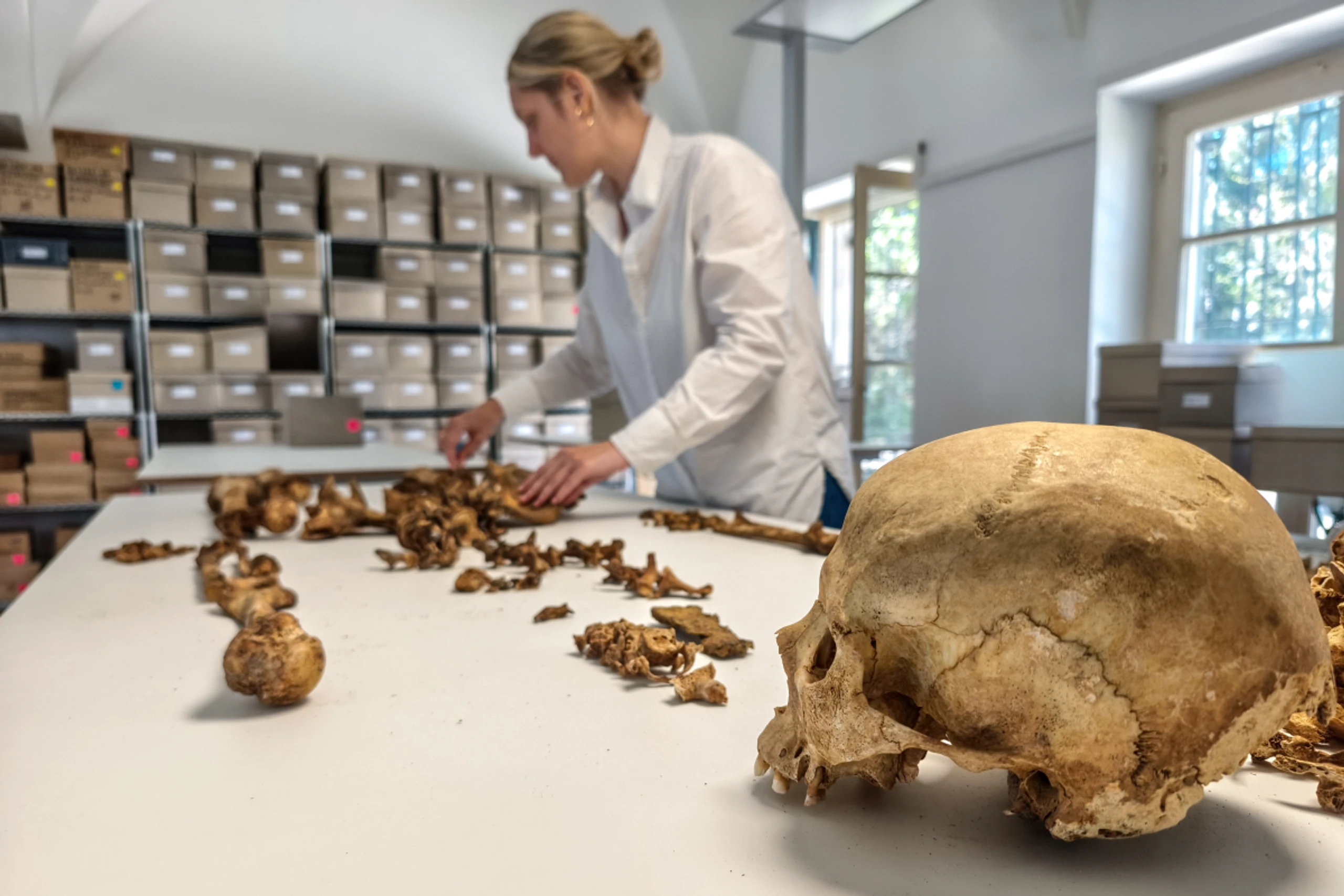 Analyse von Genomen aus Zeit des Endes des Weströmischen Reiches