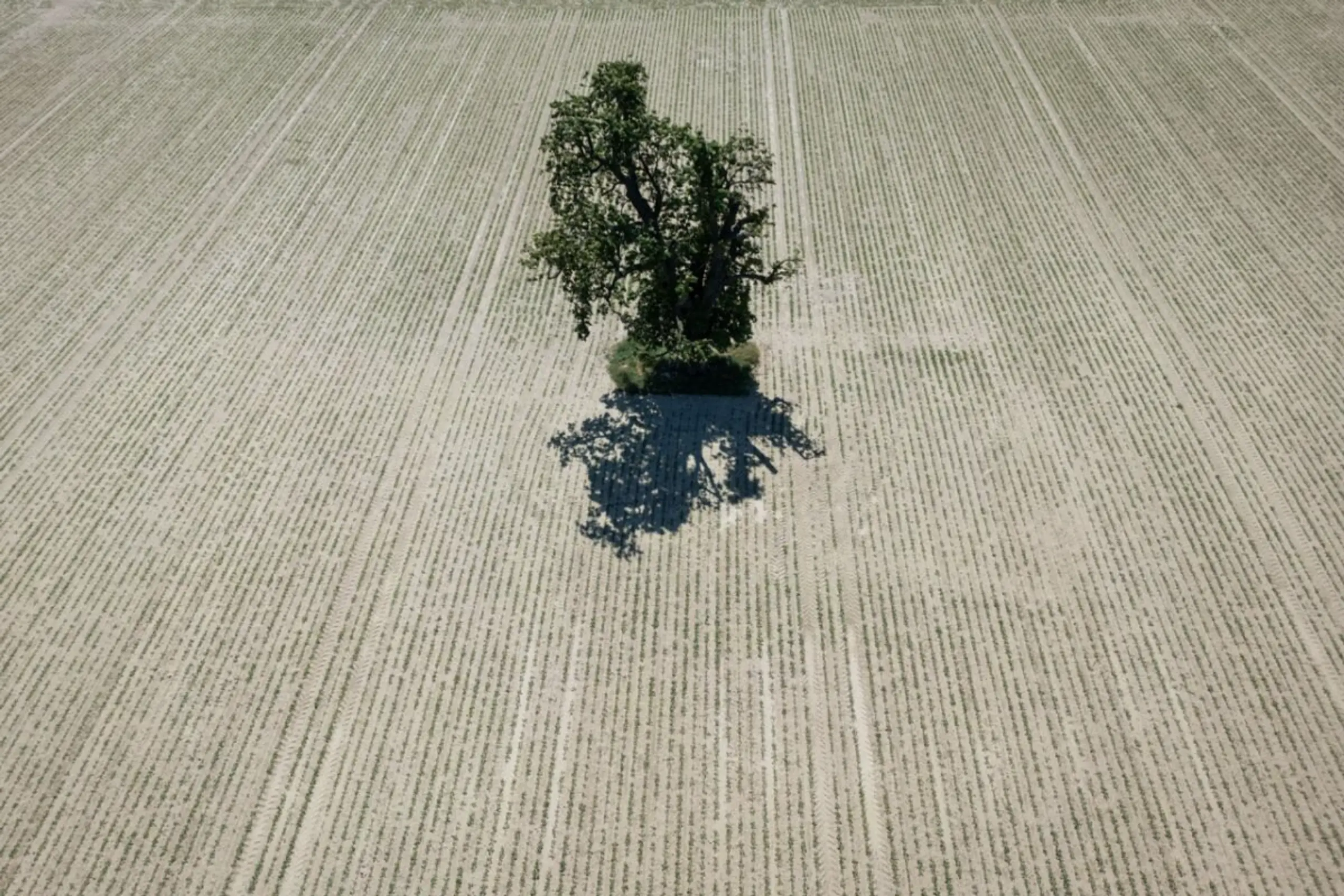 ++ ARCHIVBILD ++ Bis Mitte Mai keine größeren Regenmengen prognostiziert