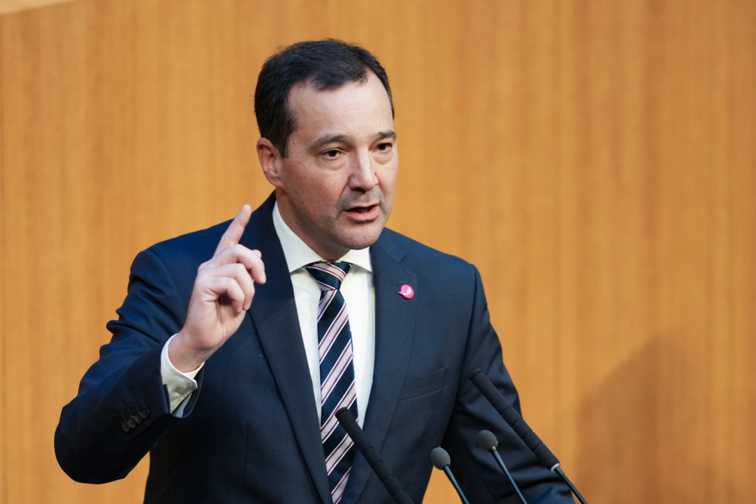 Der Ex-Abgeordnete Loacker wird EuRH-Mitglied