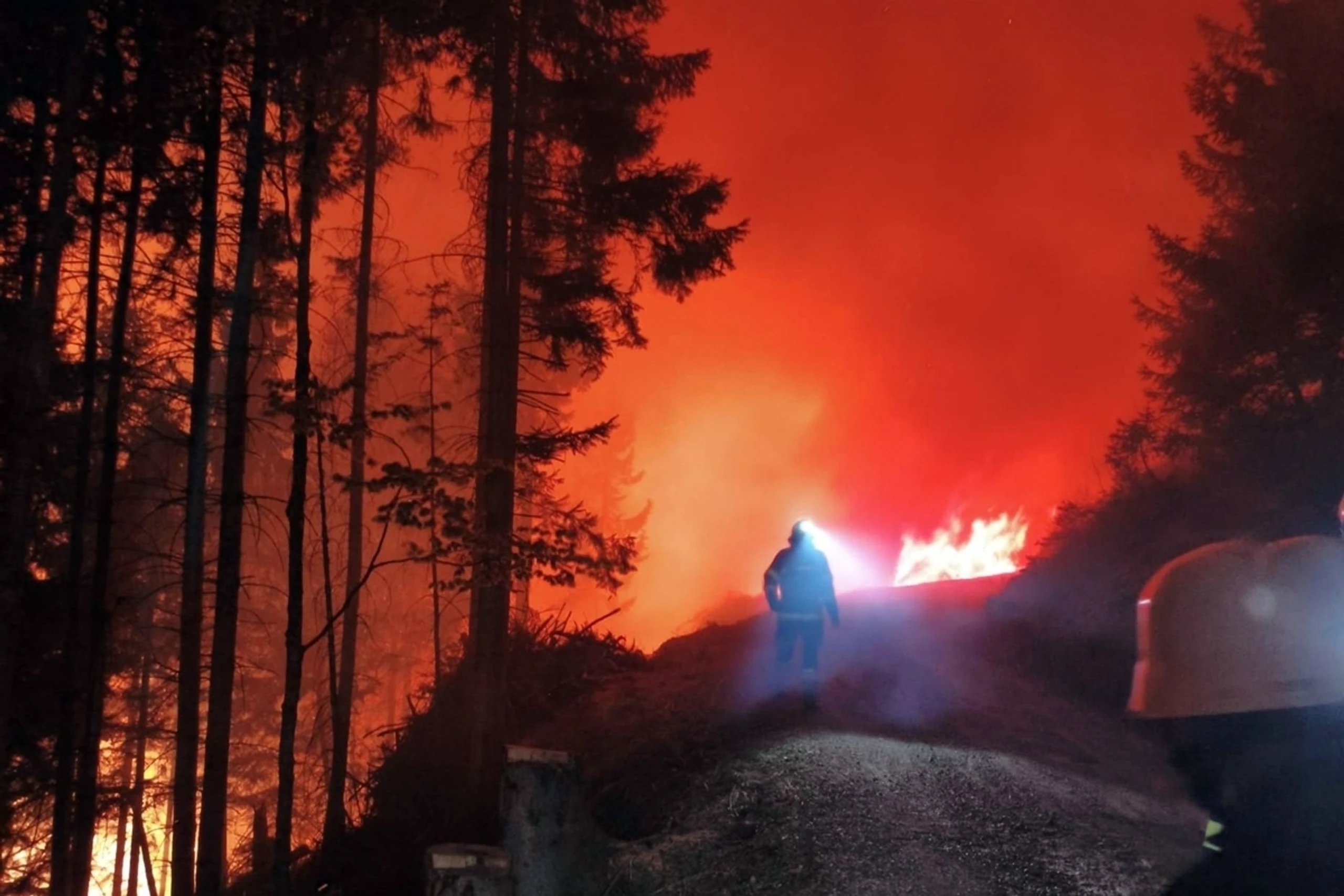 Heuer noch mehr Waldbrände erwartet