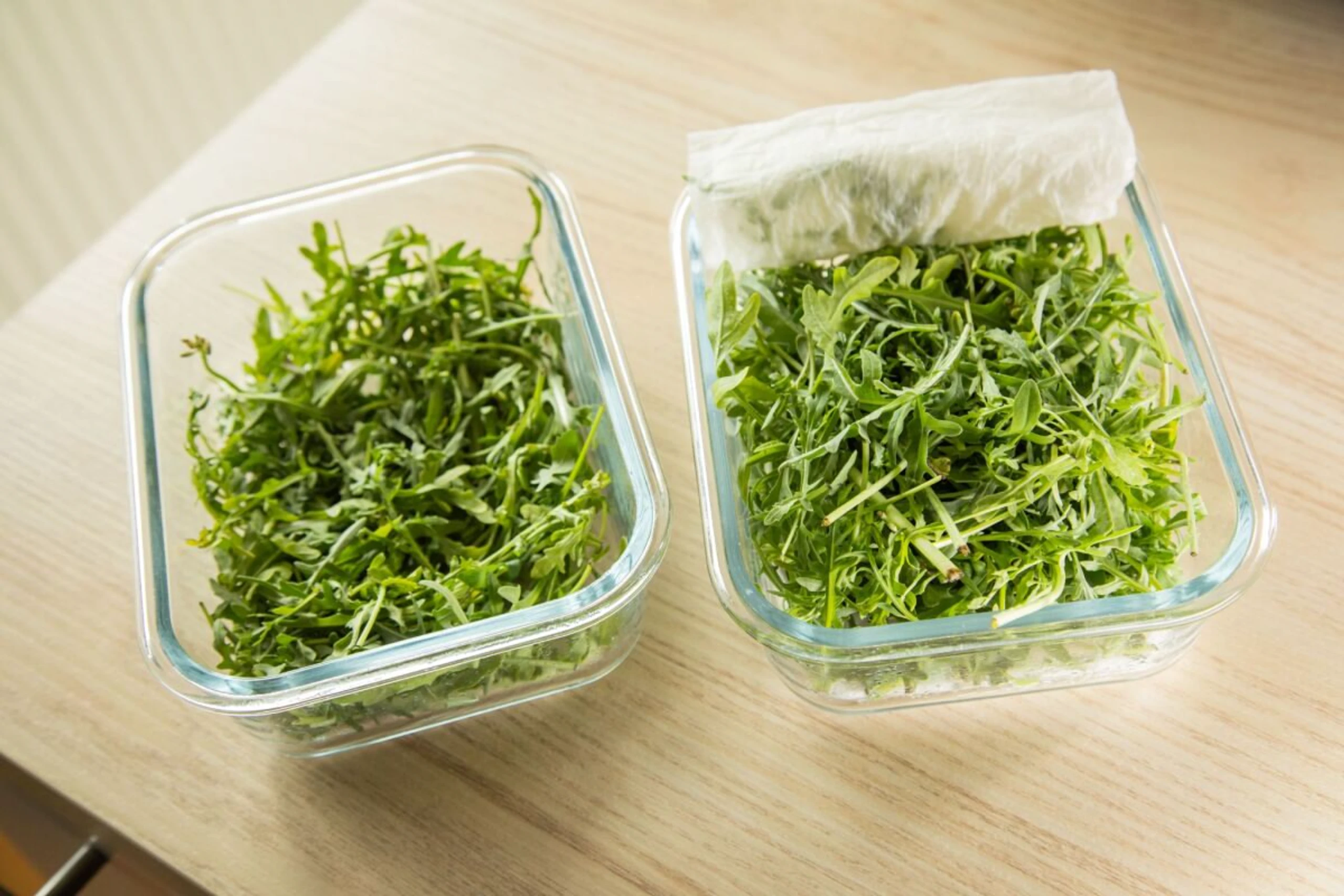 Fazit: Der Rucola mit Küchenpapier ist nach neun Tagen noch knackig