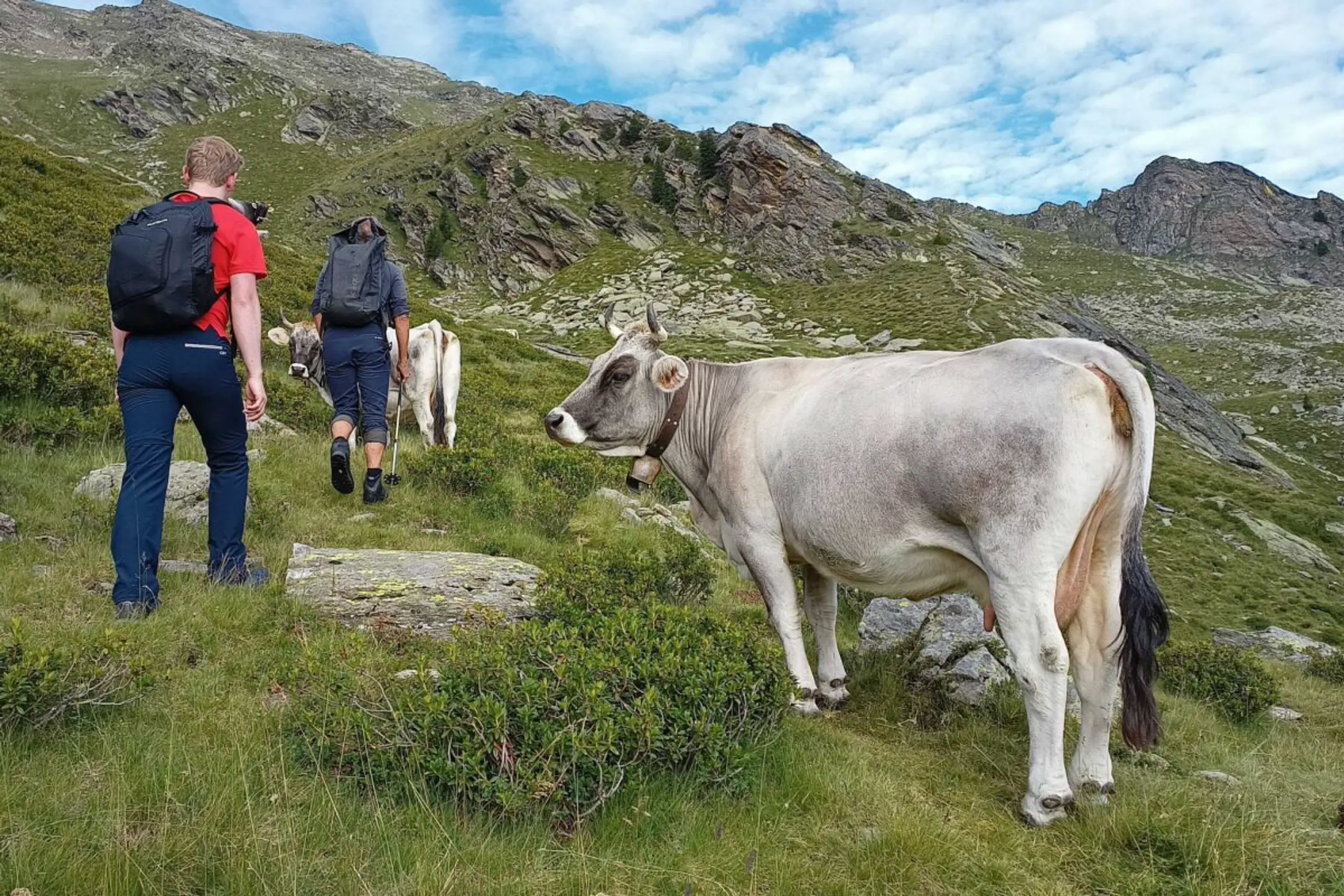 ++ ARCHIVBILD ++ Mit Ruhe und etwas Abstand bleibt die Begegnung in guter Erinnerung