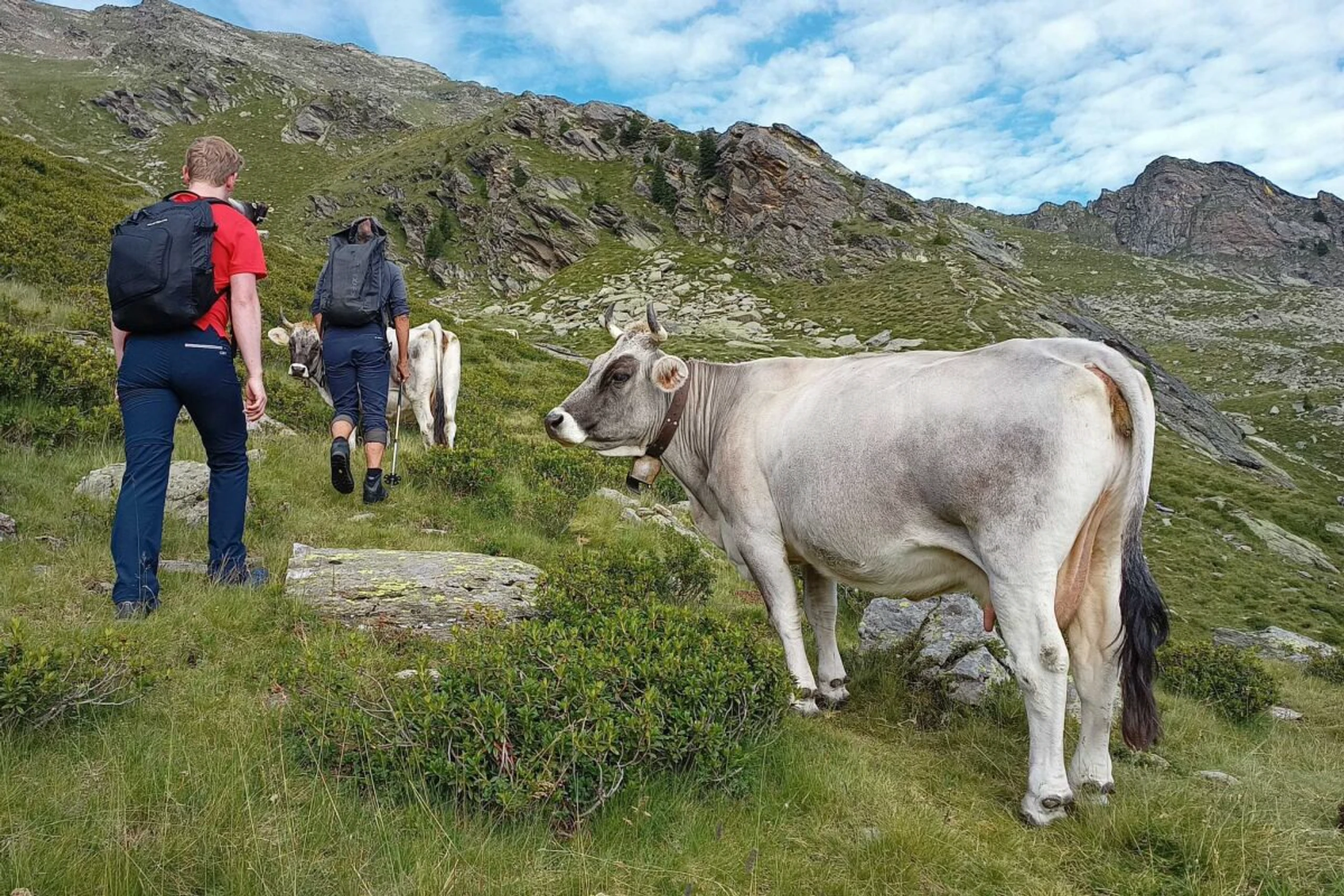 ++ ARCHIVBILD ++ Mit Ruhe und etwas Abstand bleibt die Begegnung in guter Erinnerung