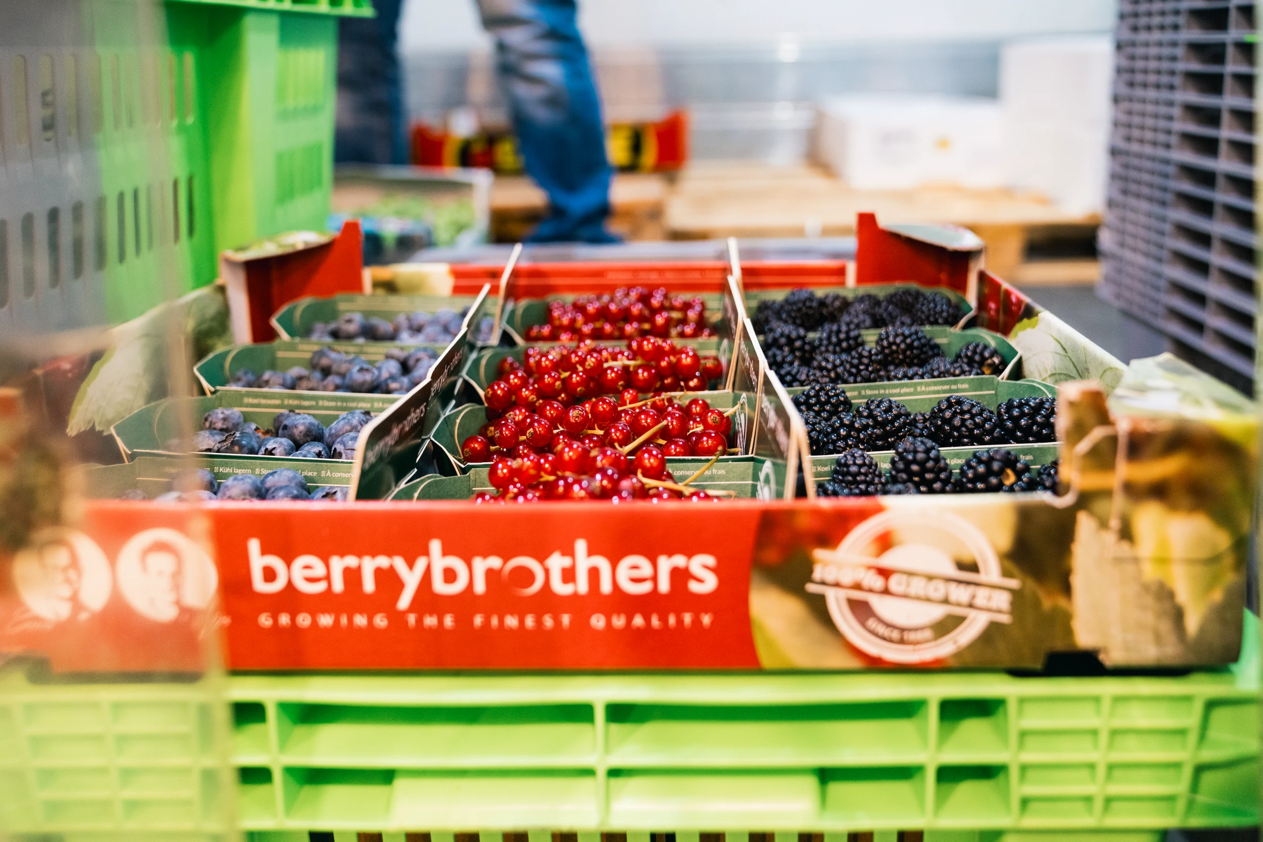 TOP 10: Beste Importeure internationaler Delikatessen