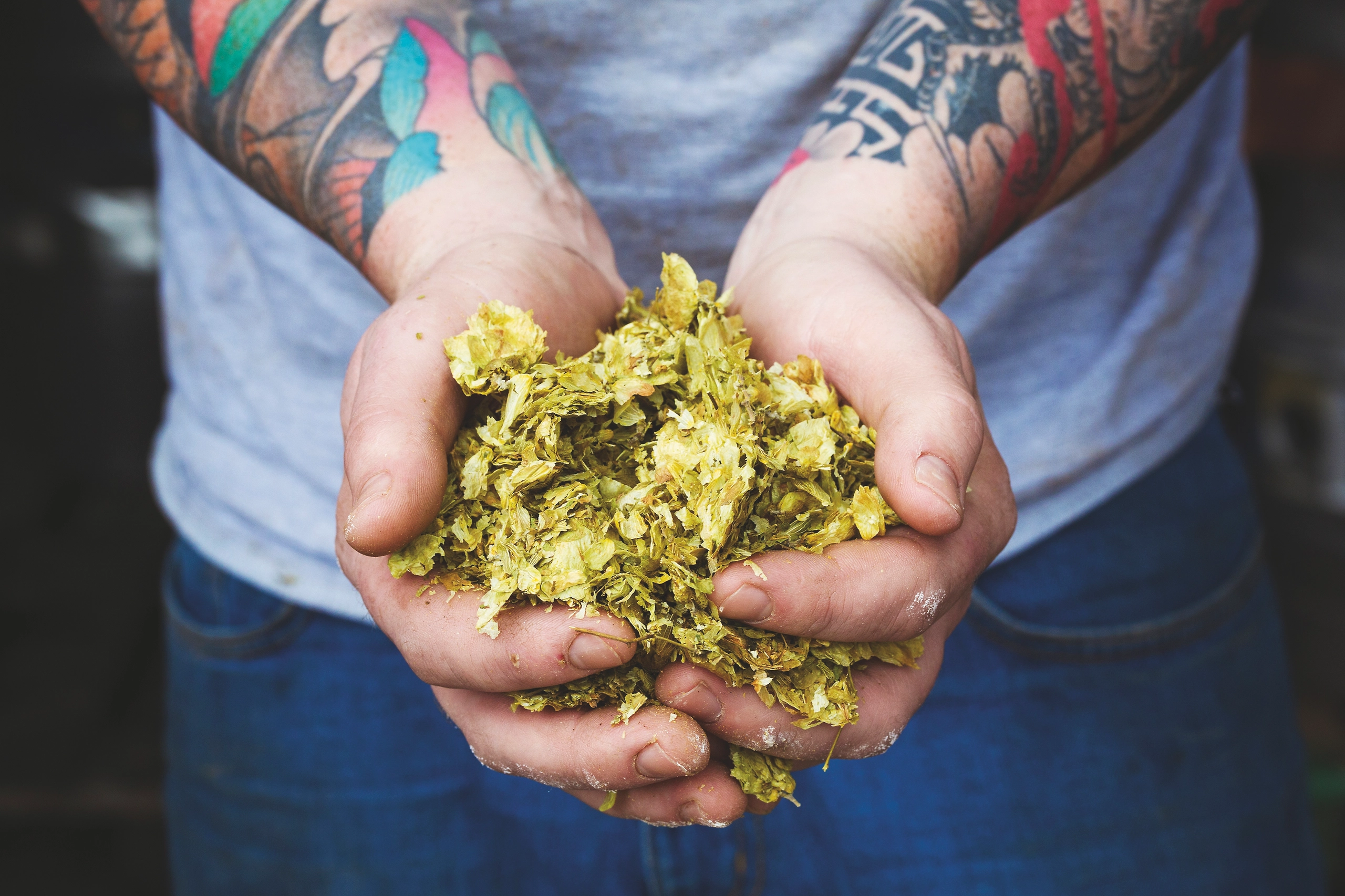 Craft Beer in Österreich: Was vom großen Hype wirklich übrig geblieben ist