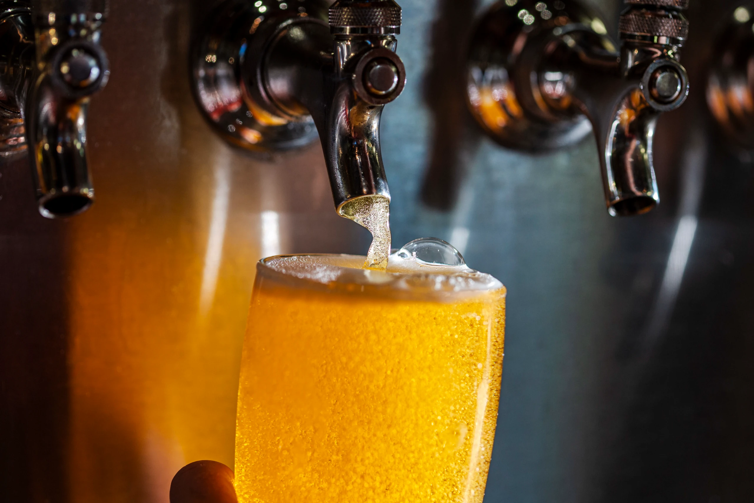 Die 10 besten Adressen für Craftbeer