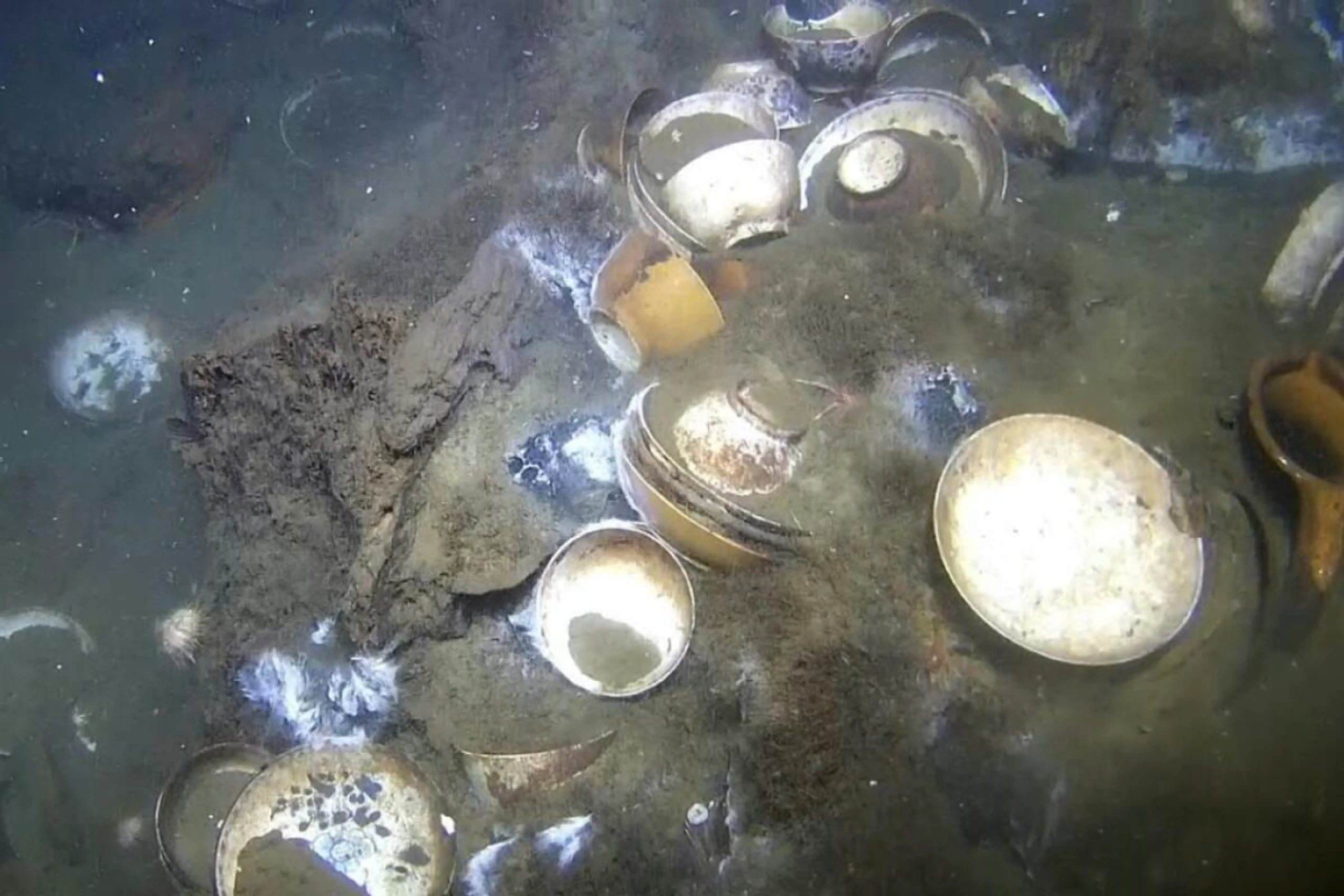 Unter anderem erstaunlich gut erhaltene Fracht aus Porzellan gefunden