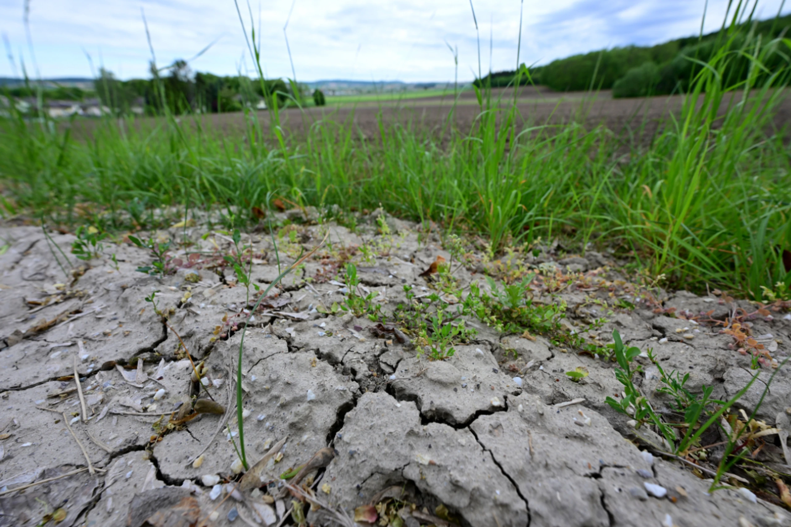 Pläne zum Doppelbudget konterkarieren demnach Klimaziele
