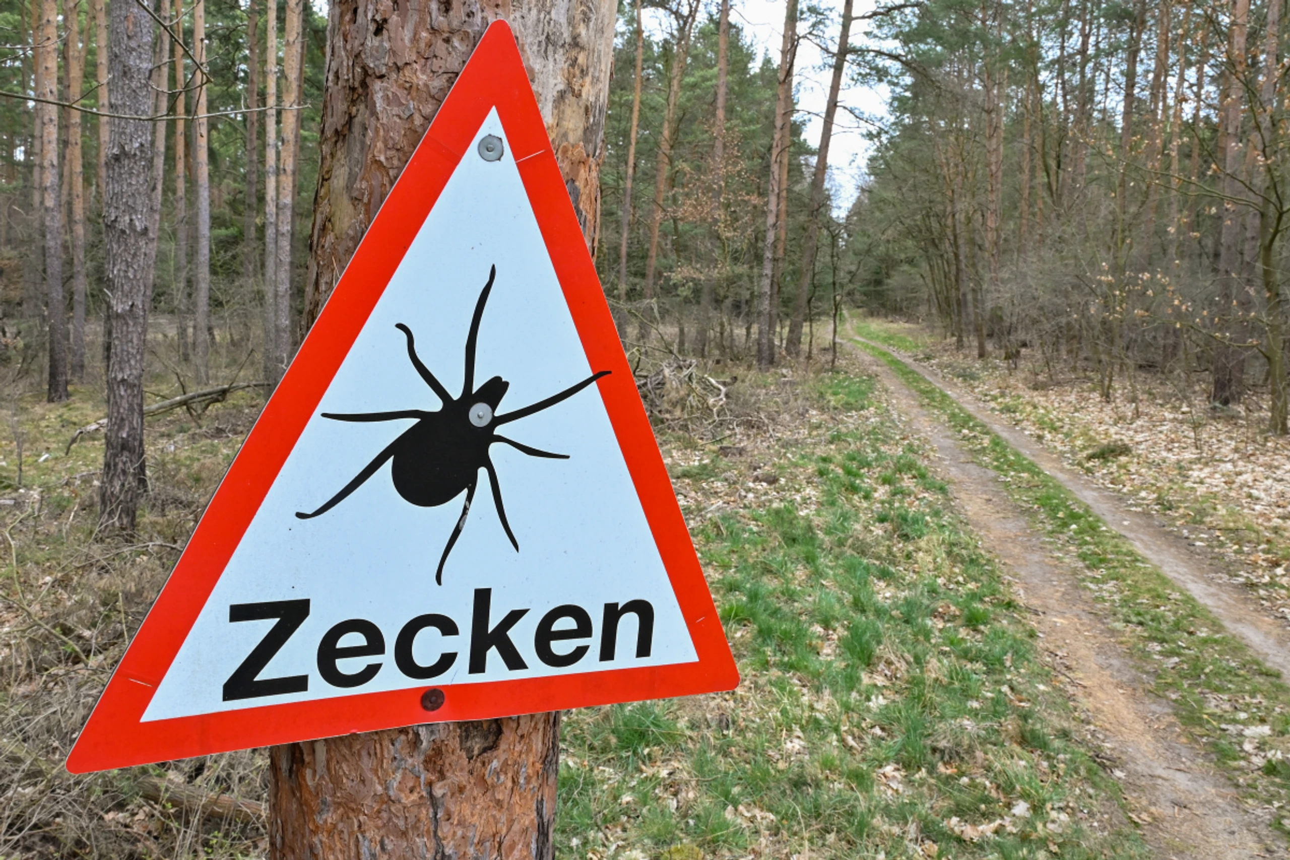 Krankheitsauslösung der in Europa zirkulierenden Variante unklar