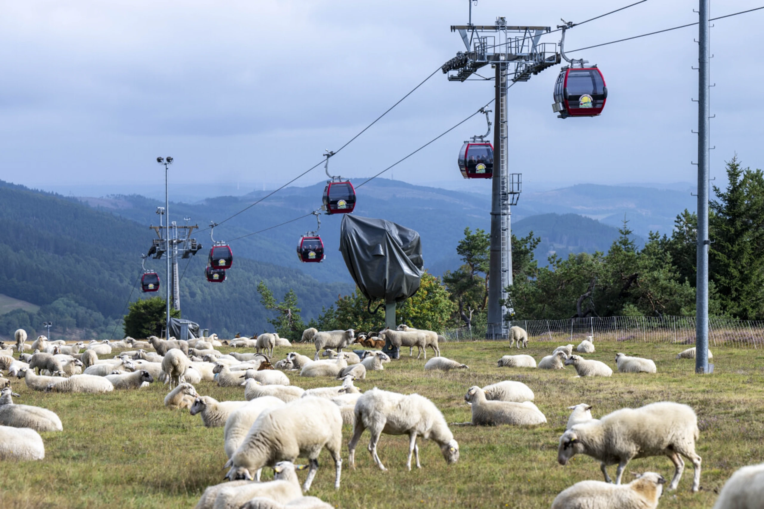 Die Seilbahnen hoffen auf ein Zusatzgeschäft im Sommer