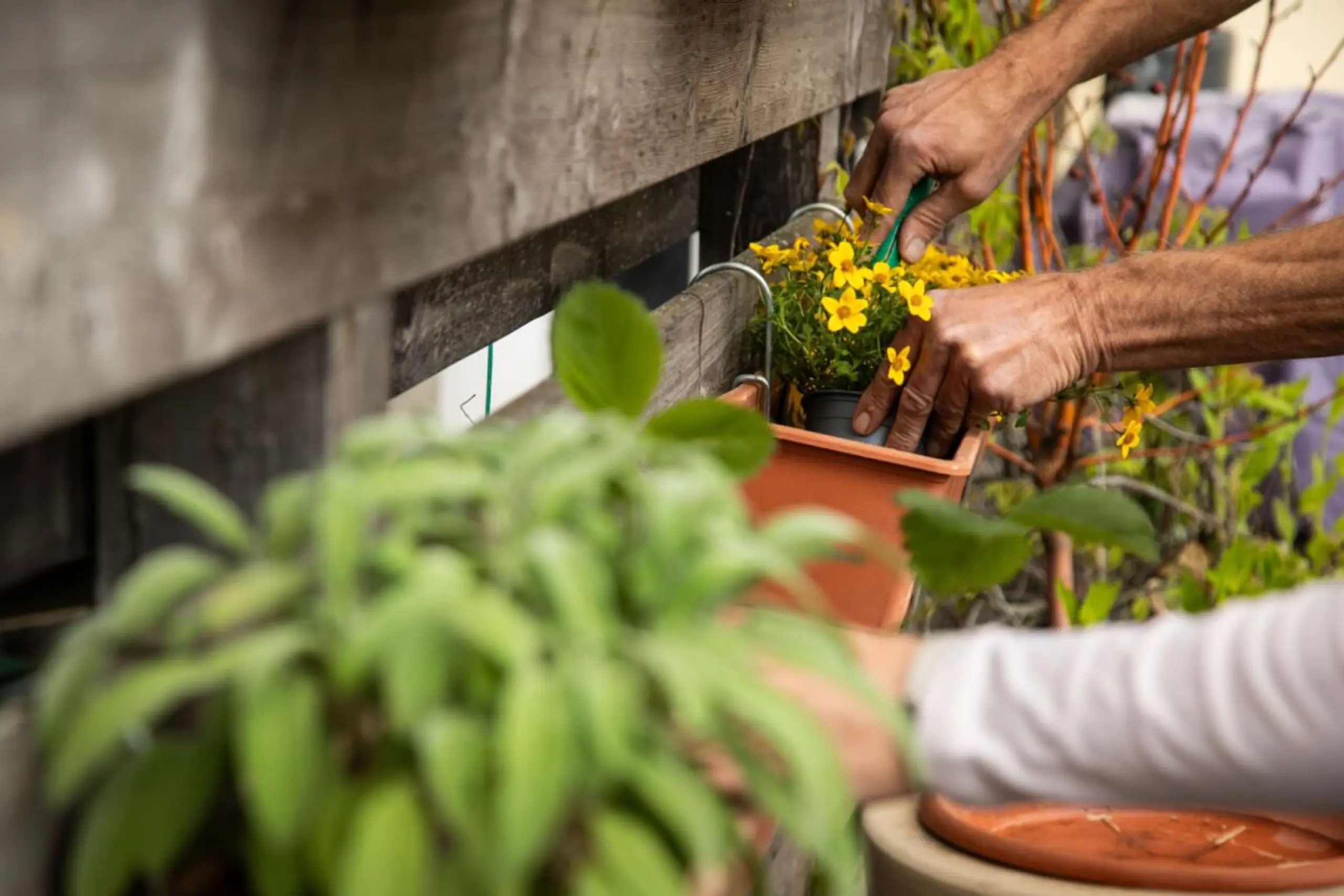 Gärtnern, selbst auf dem Balkon, hilft pflegenden Angehörigen