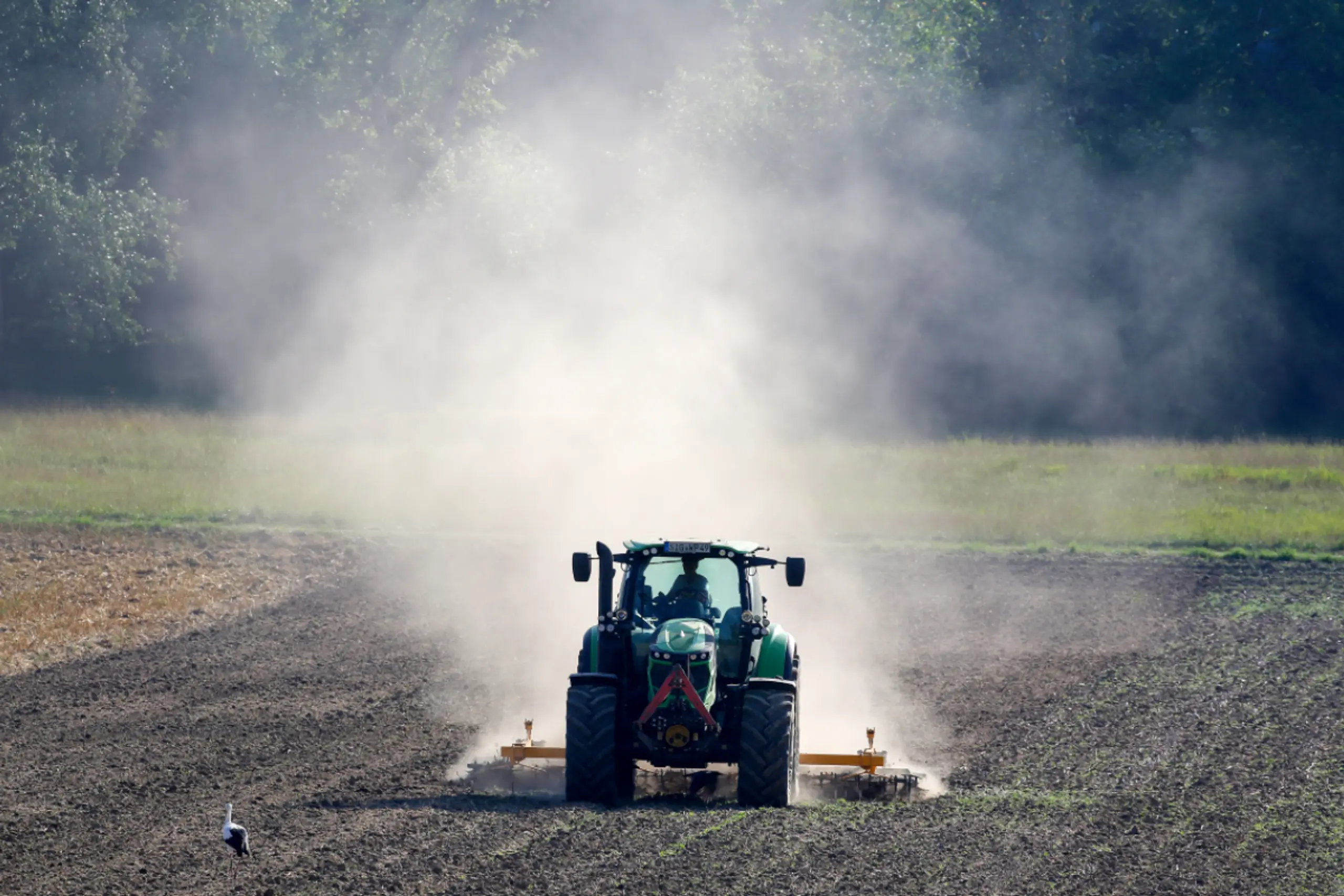 Soll klimaresistentere Pflanzen ermöglichen