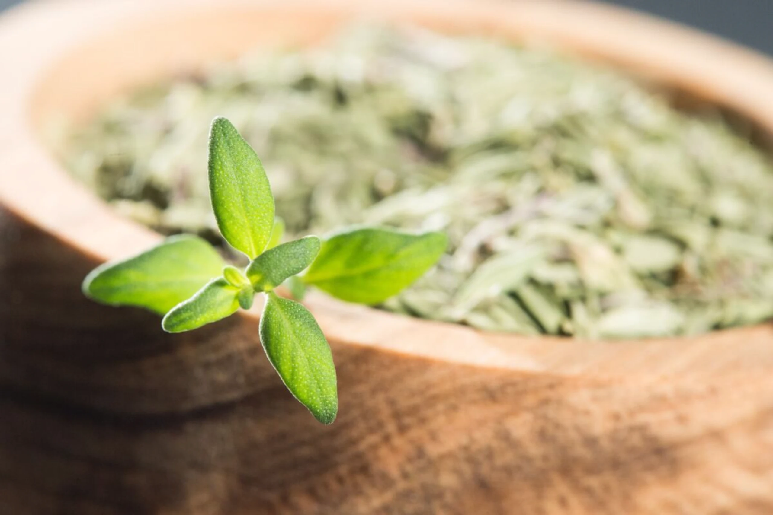 Mit ätherischen Ölen wie Thymol fördert Thymian die Verdauung